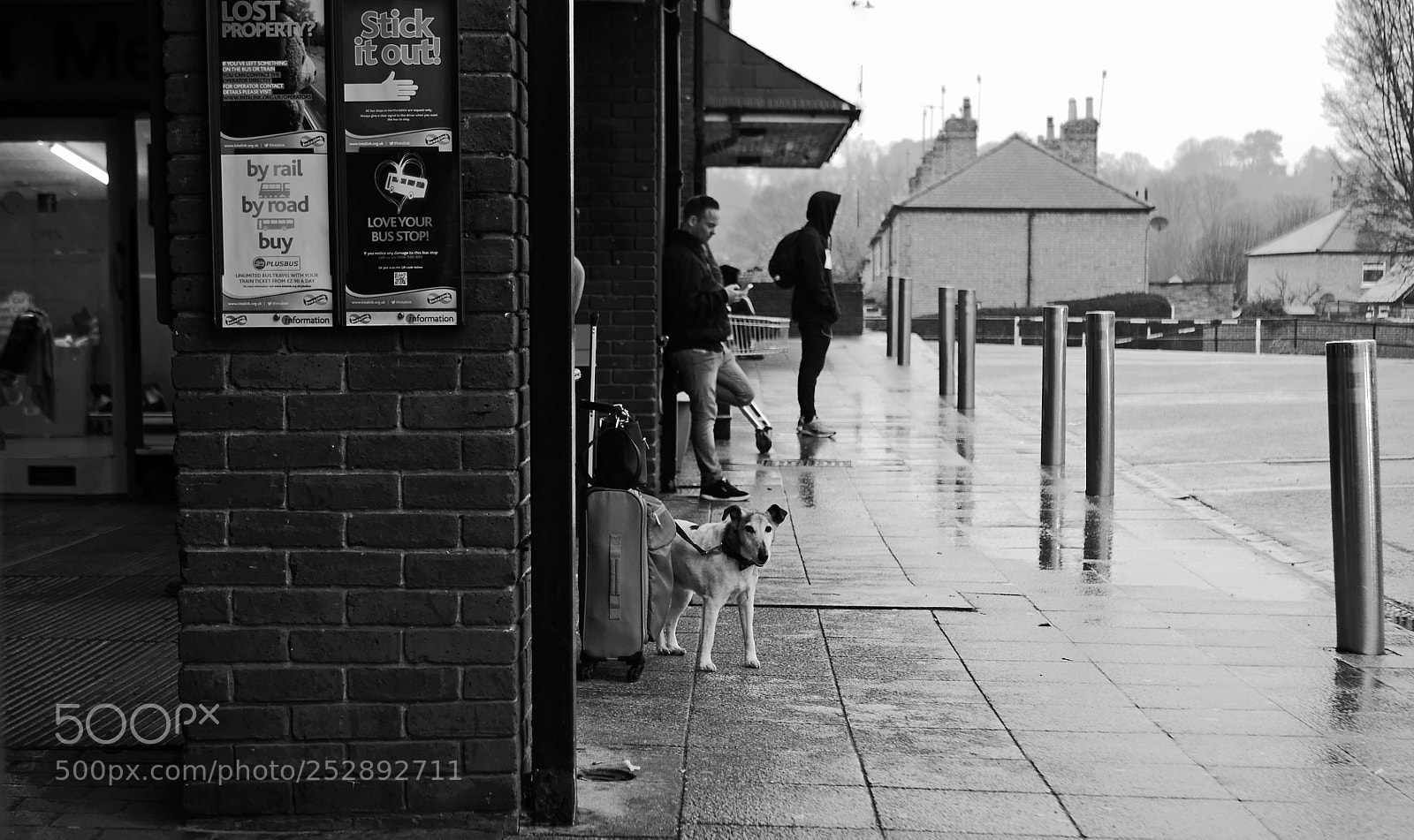 Panasonic Lumix DMC-GX7 sample photo. Canine tourist photography