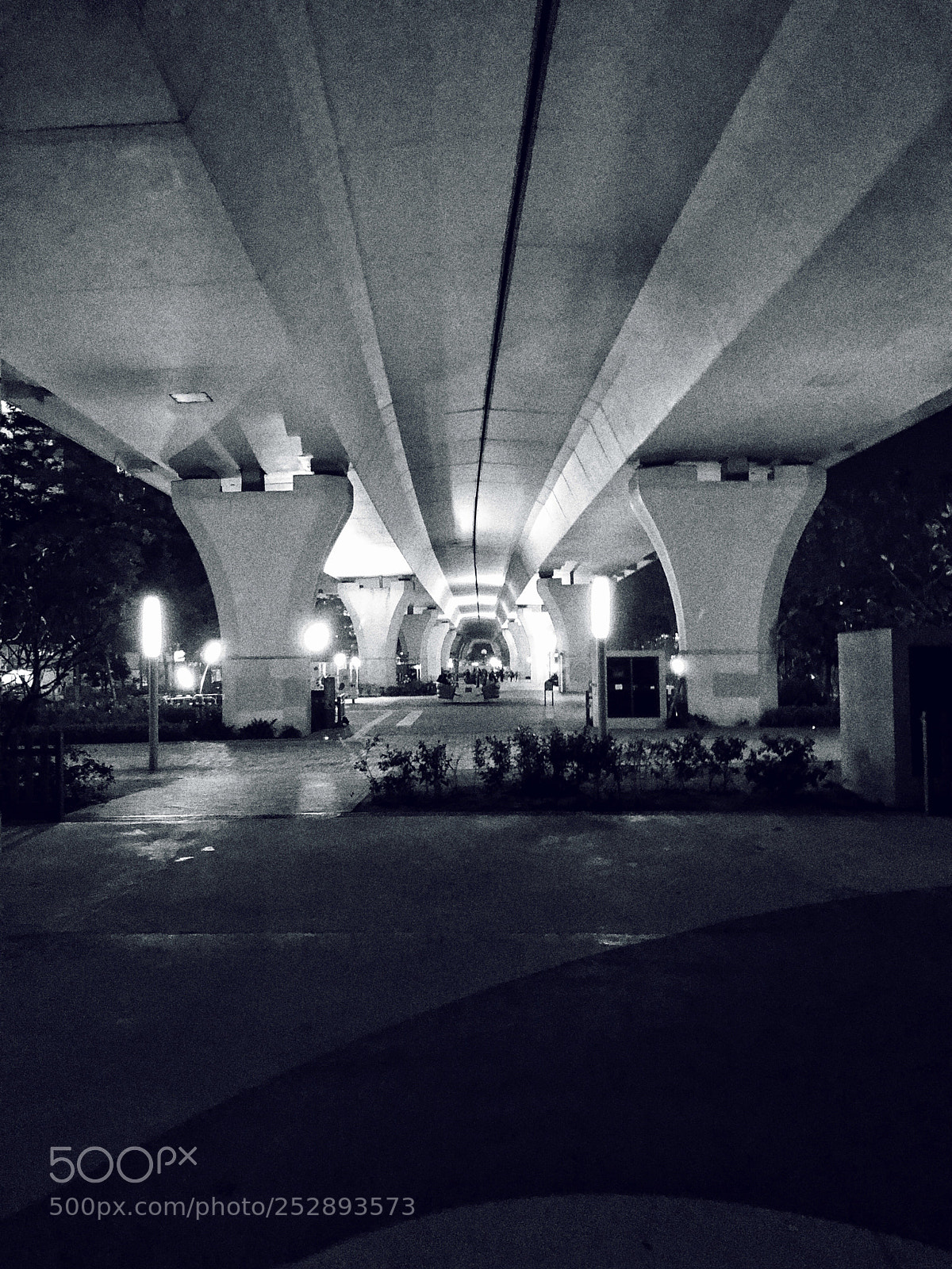 Apple iPhone X sample photo. Untitled photography