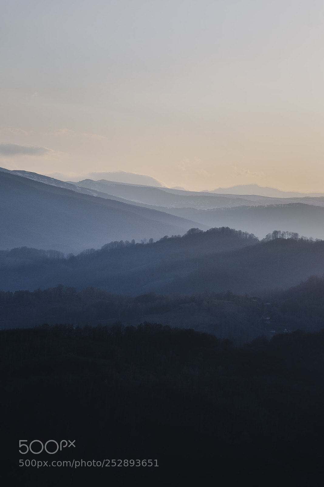 Nikon D7200 sample photo. Peace photography