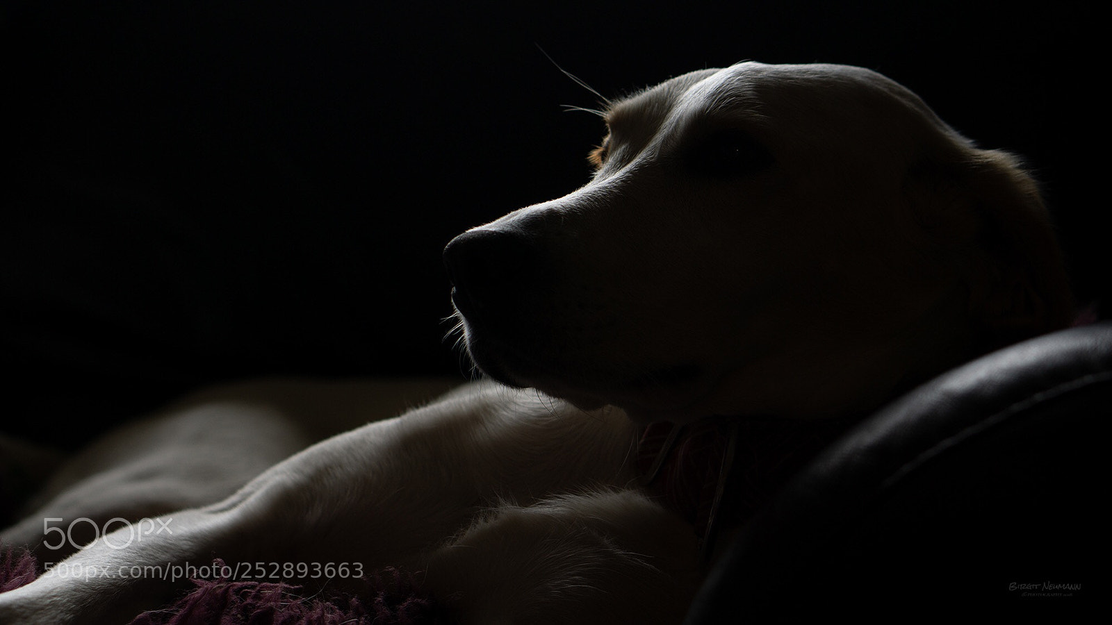 Sony a6000 sample photo. Untitled photography