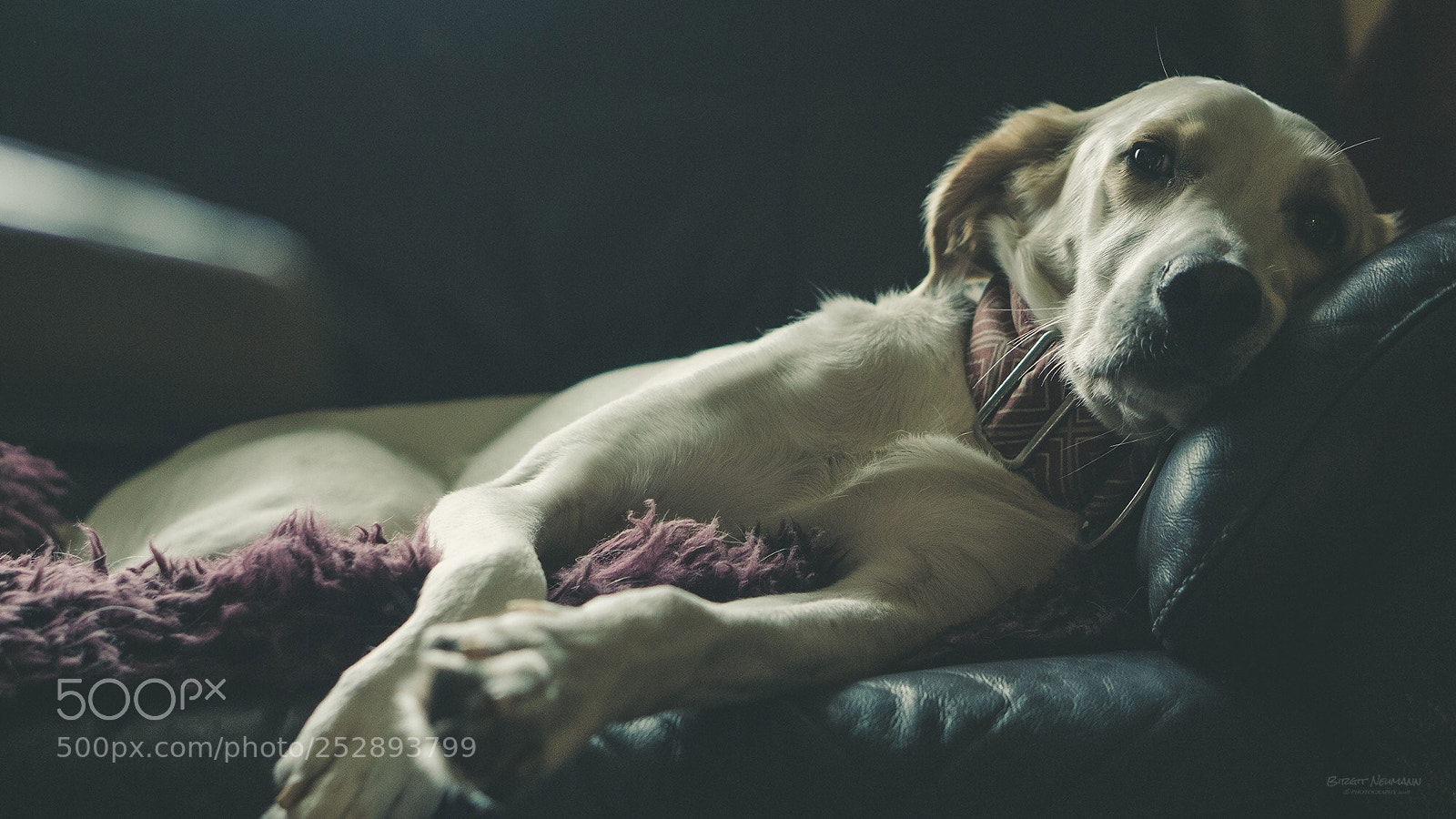 Sony a6000 sample photo. Untitled photography