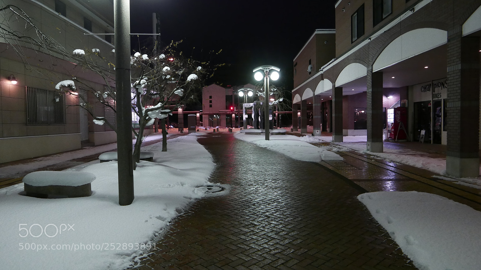 Leica D-Lux (Typ 109) sample photo. 静夜。。。 photography
