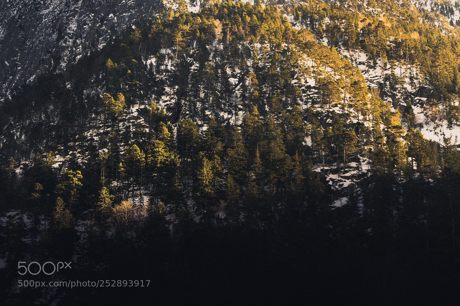 Nikon D3300 sample photo. Warm mountain photography