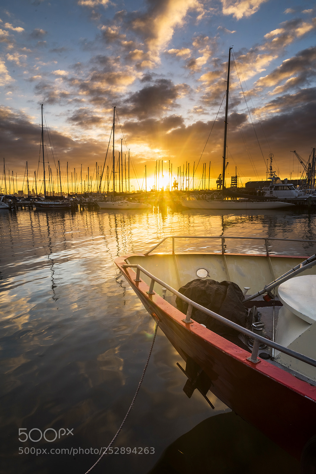 Nikon D810 sample photo. Williamstown port sunrise photography