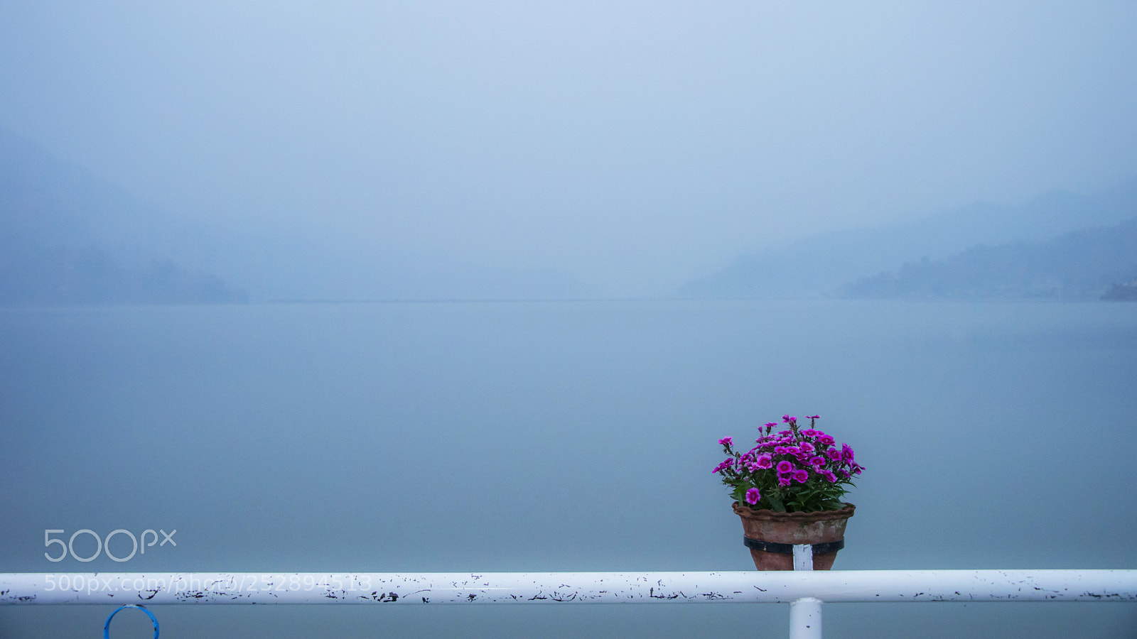 Nikon D610 sample photo. Lake photography