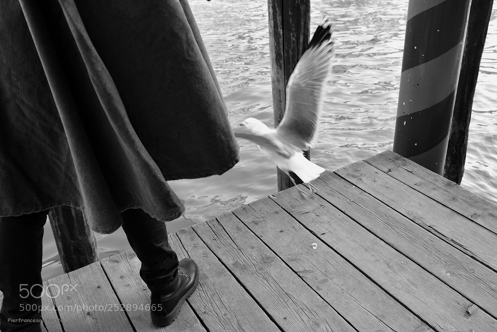 Nikon D610 sample photo. Venezia 16 photography