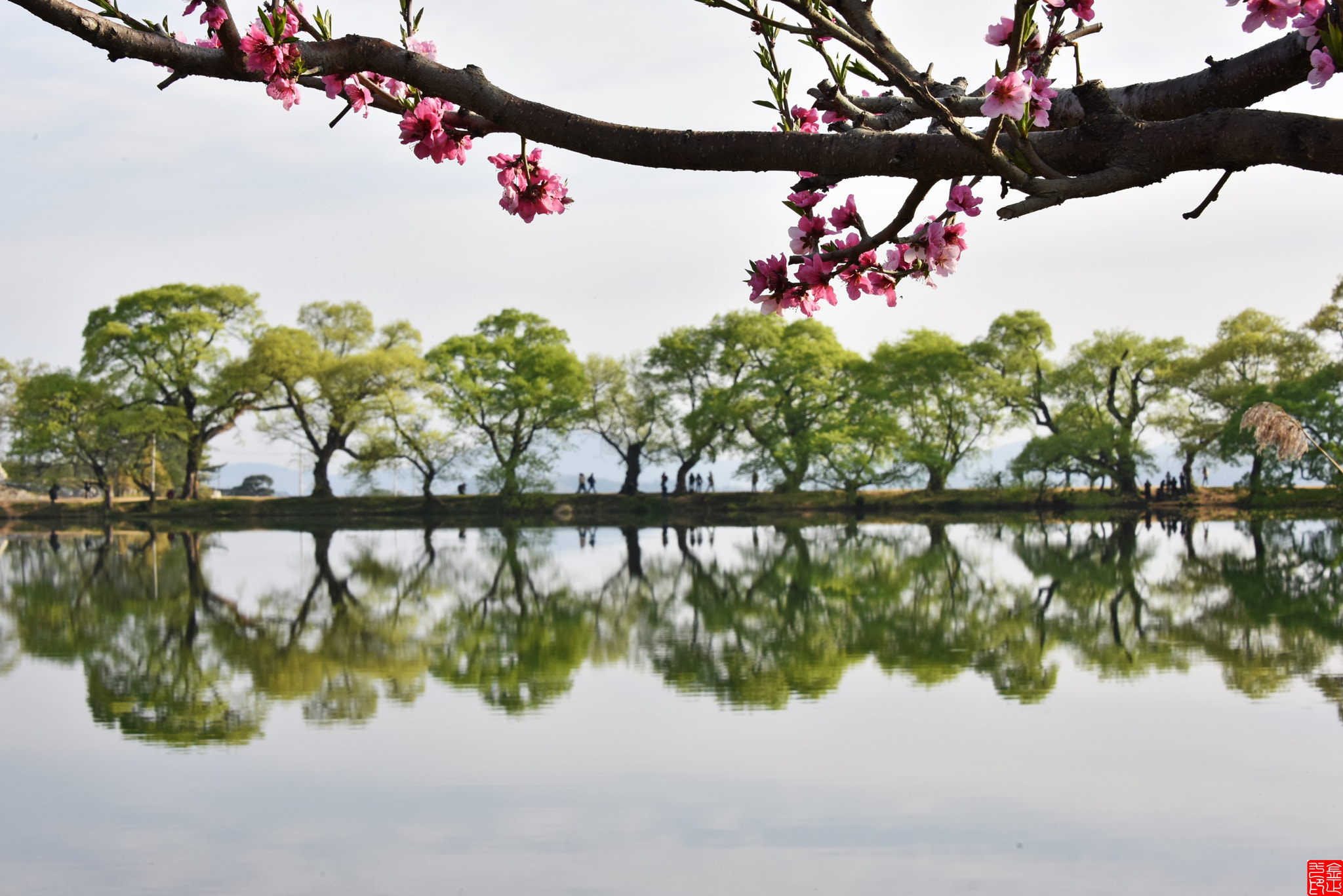 Nikon D810 sample photo. Springtime photography