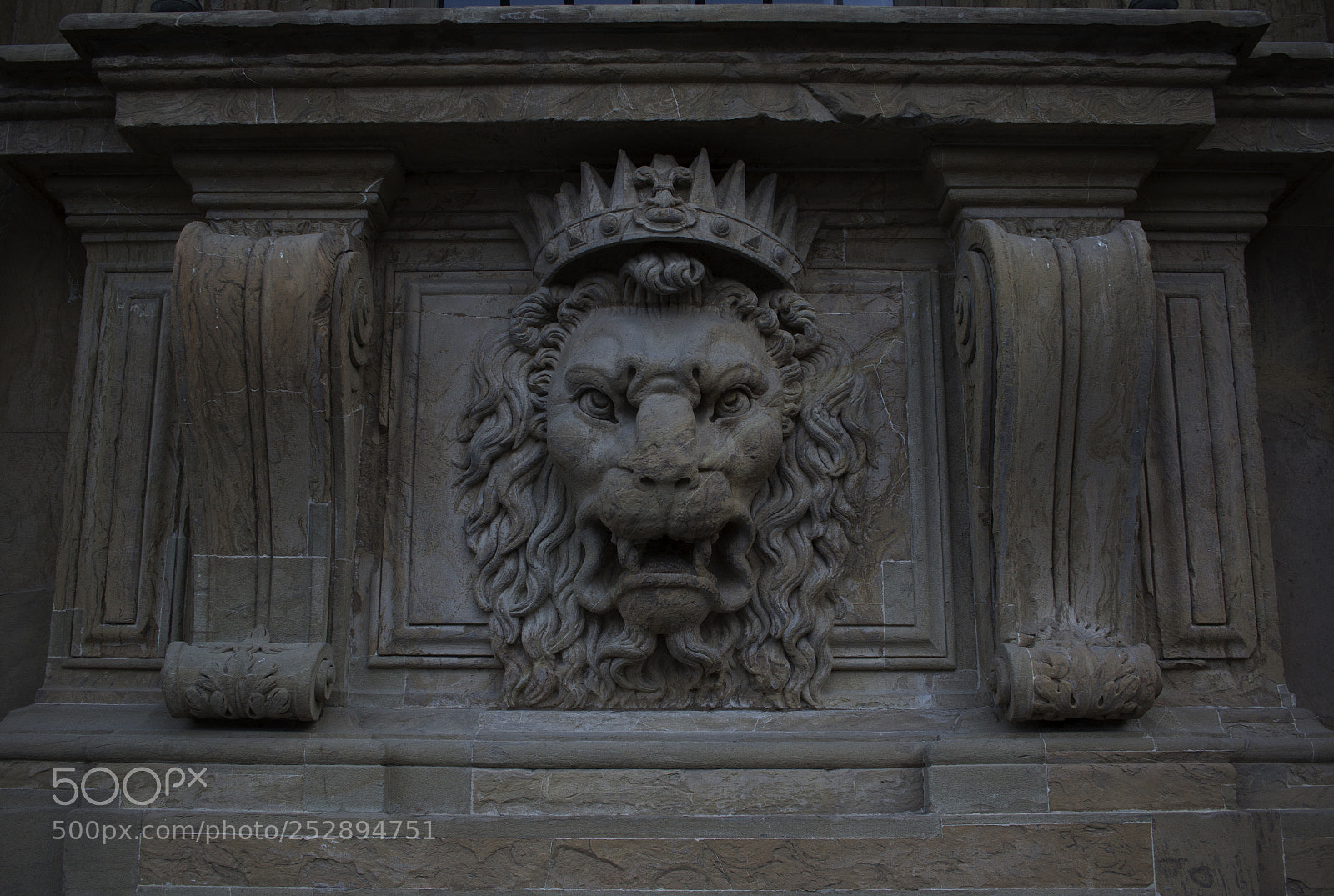 Canon EOS 60D sample photo. Lion king photography