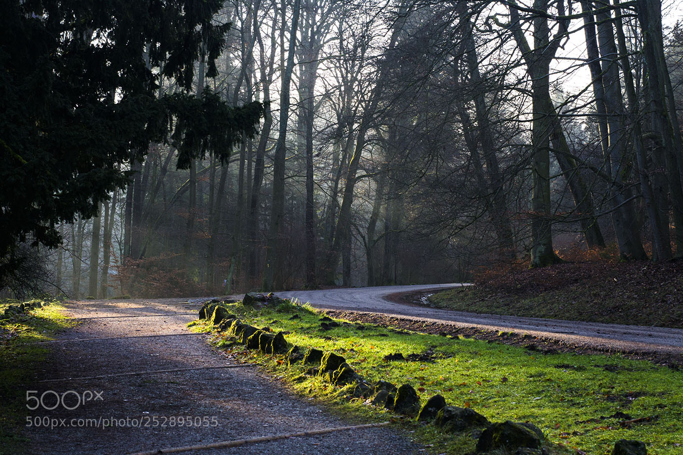 Nikon D3100 sample photo. The fantasy roads. photography