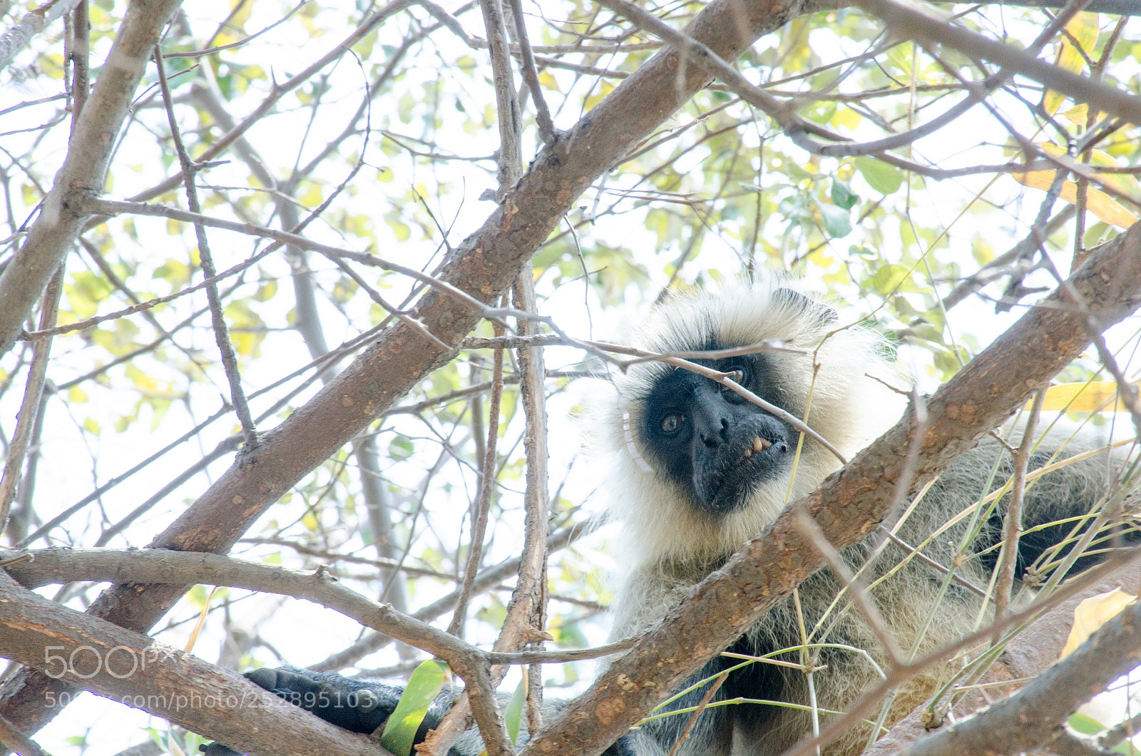 Nikon D7000 sample photo. Expression photography