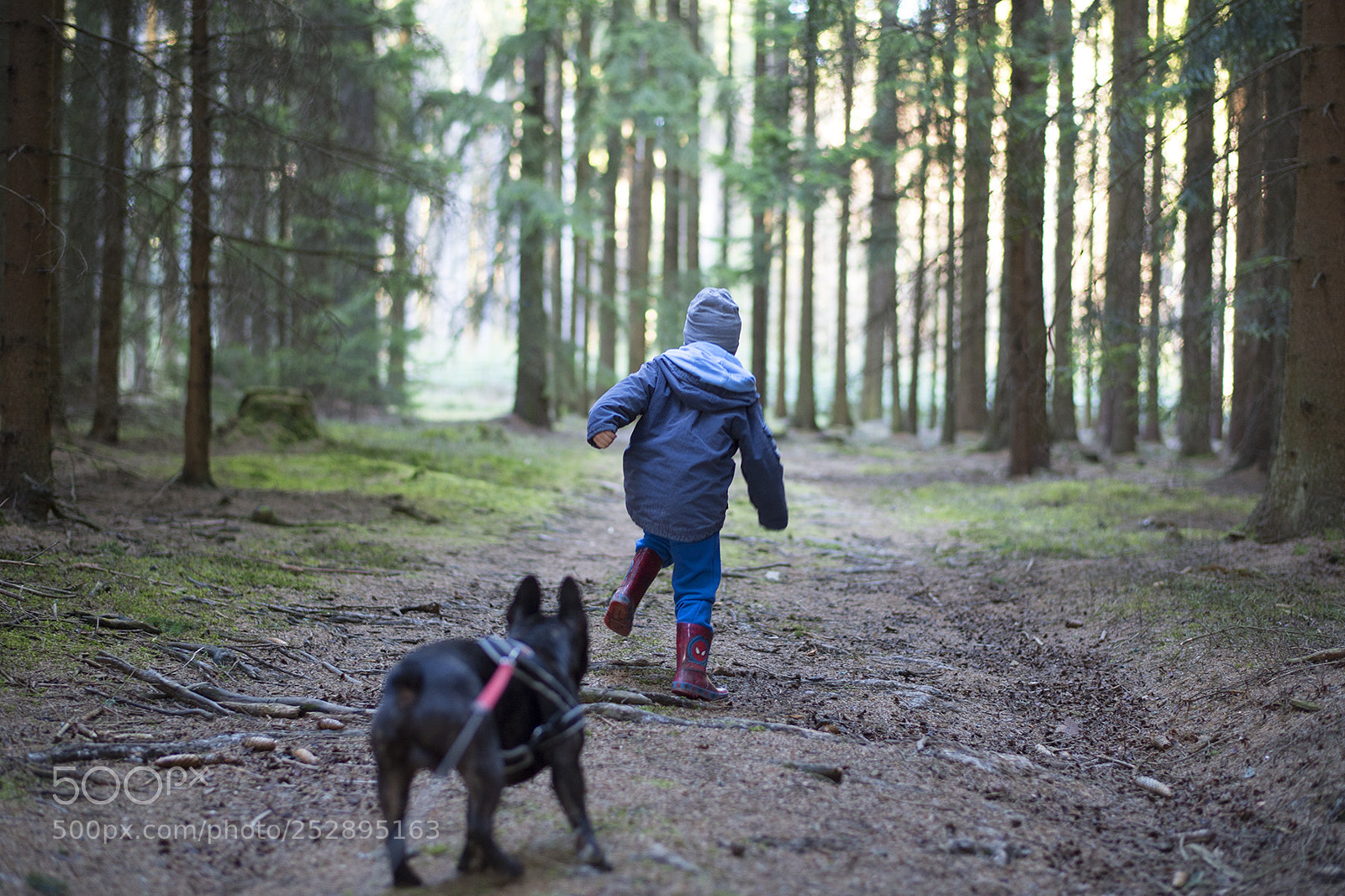 Nikon Df sample photo. Run with wolves photography
