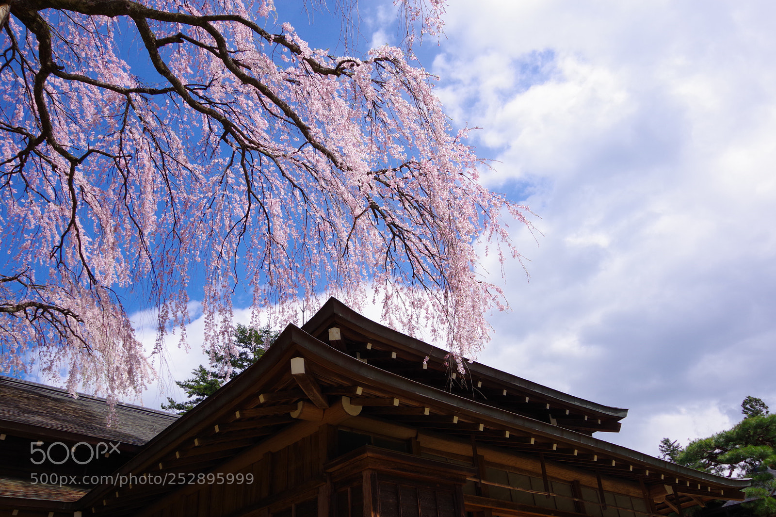 Pentax K-70 sample photo. Untitled photography
