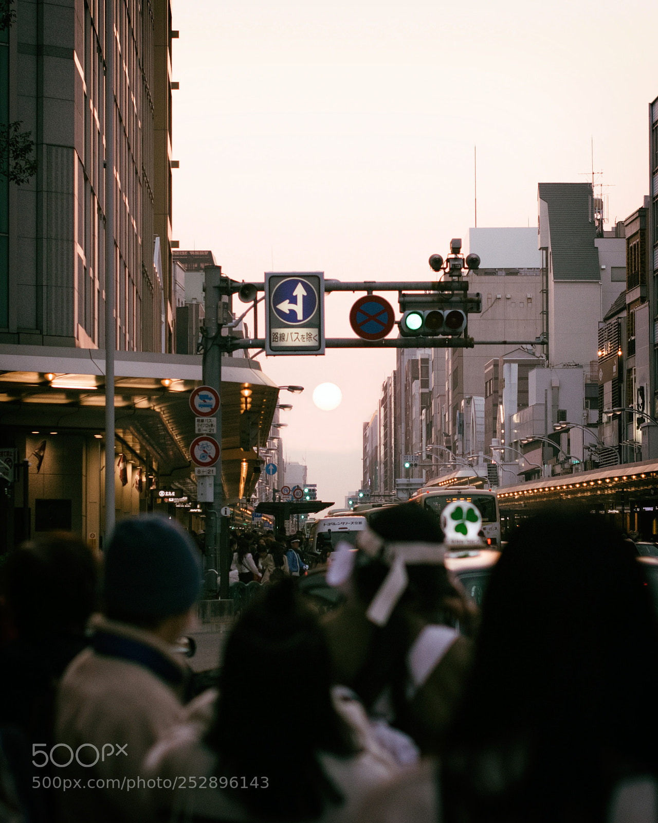 Nikon D5300 sample photo. Turn your face towards photography