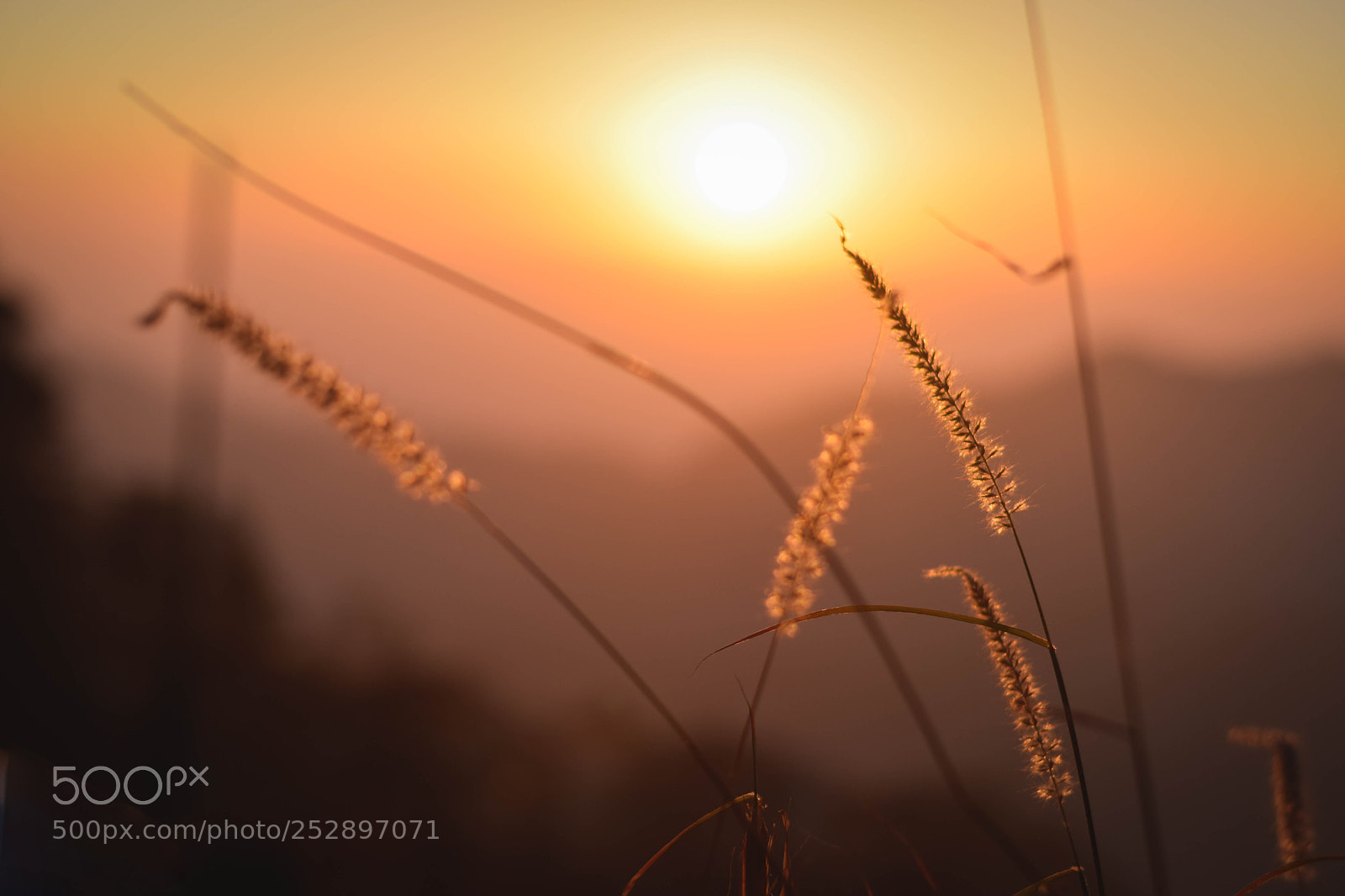 Nikon D5300 sample photo. Watch more sunsets than photography