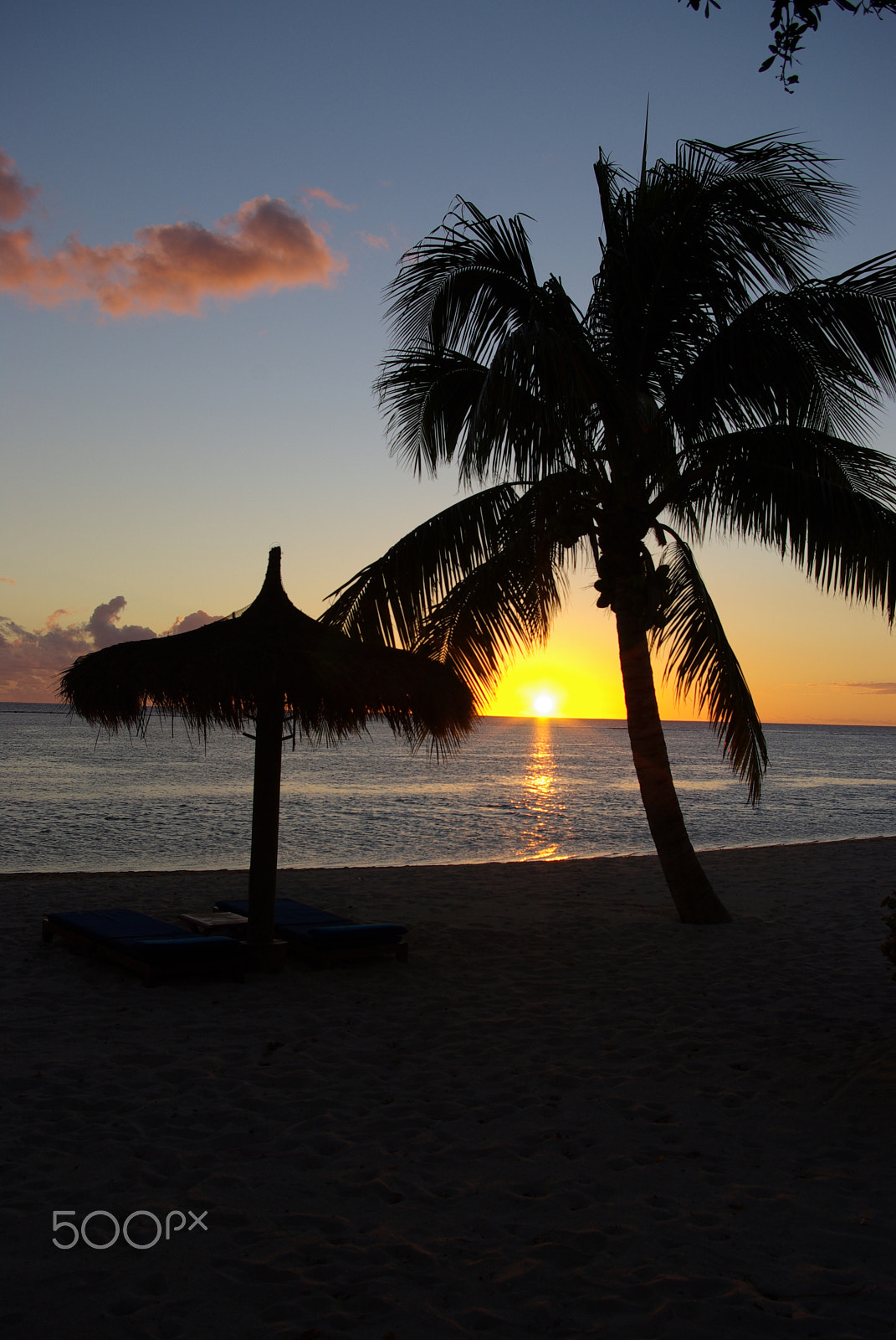 Pentax K10D sample photo. Palm tree sunset photography