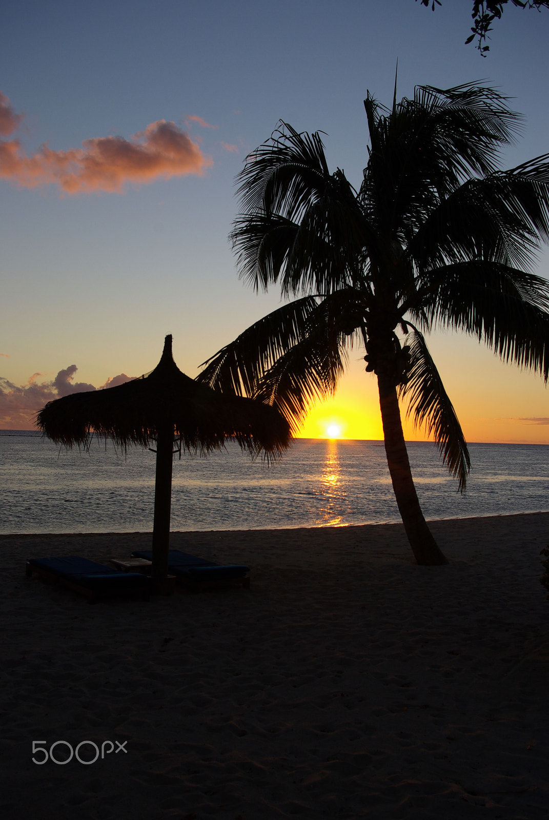 Pentax K10D + Pentax smc DA 18-55mm F3.5-5.6 AL sample photo. Palm tree sunset photography