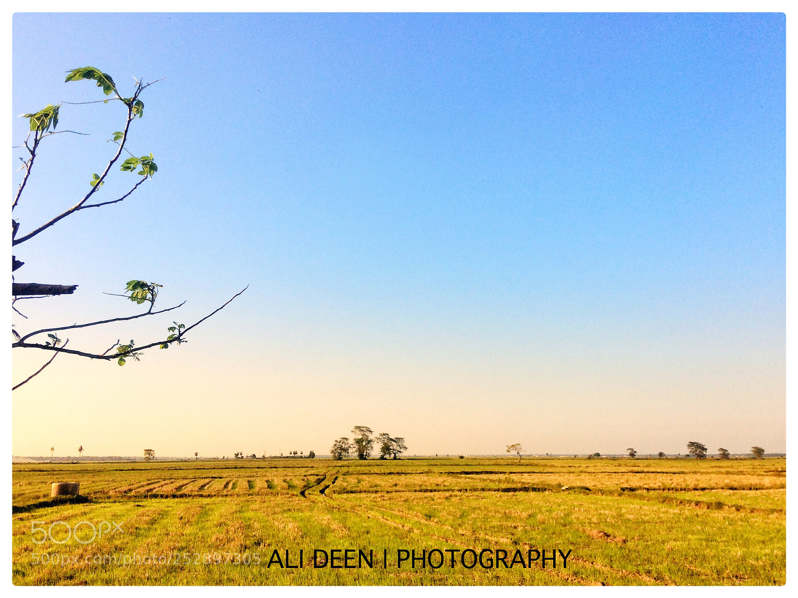 Apple iPhone 5s sample photo. Sammanthurai, sri lanka  photography