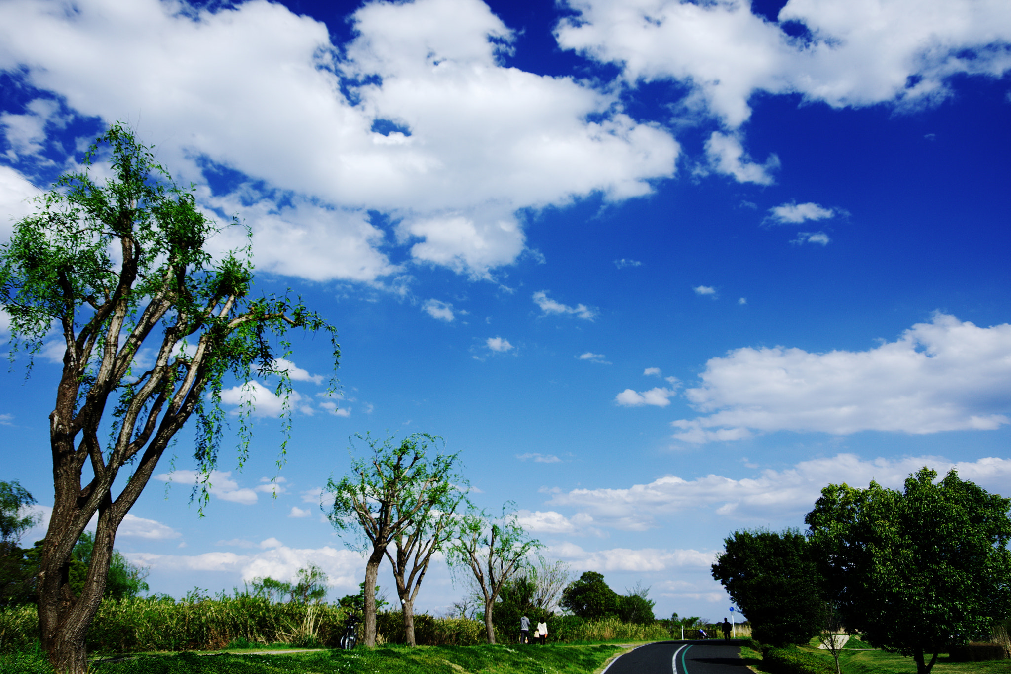 Pentax K-70 sample photo. Esplanade in early summer photography