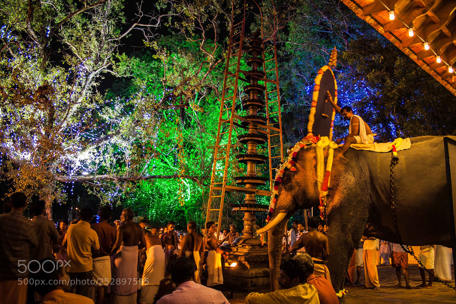 Canon EOS 1000D (EOS Digital Rebel XS / EOS Kiss F) sample photo. Kerala festival photography