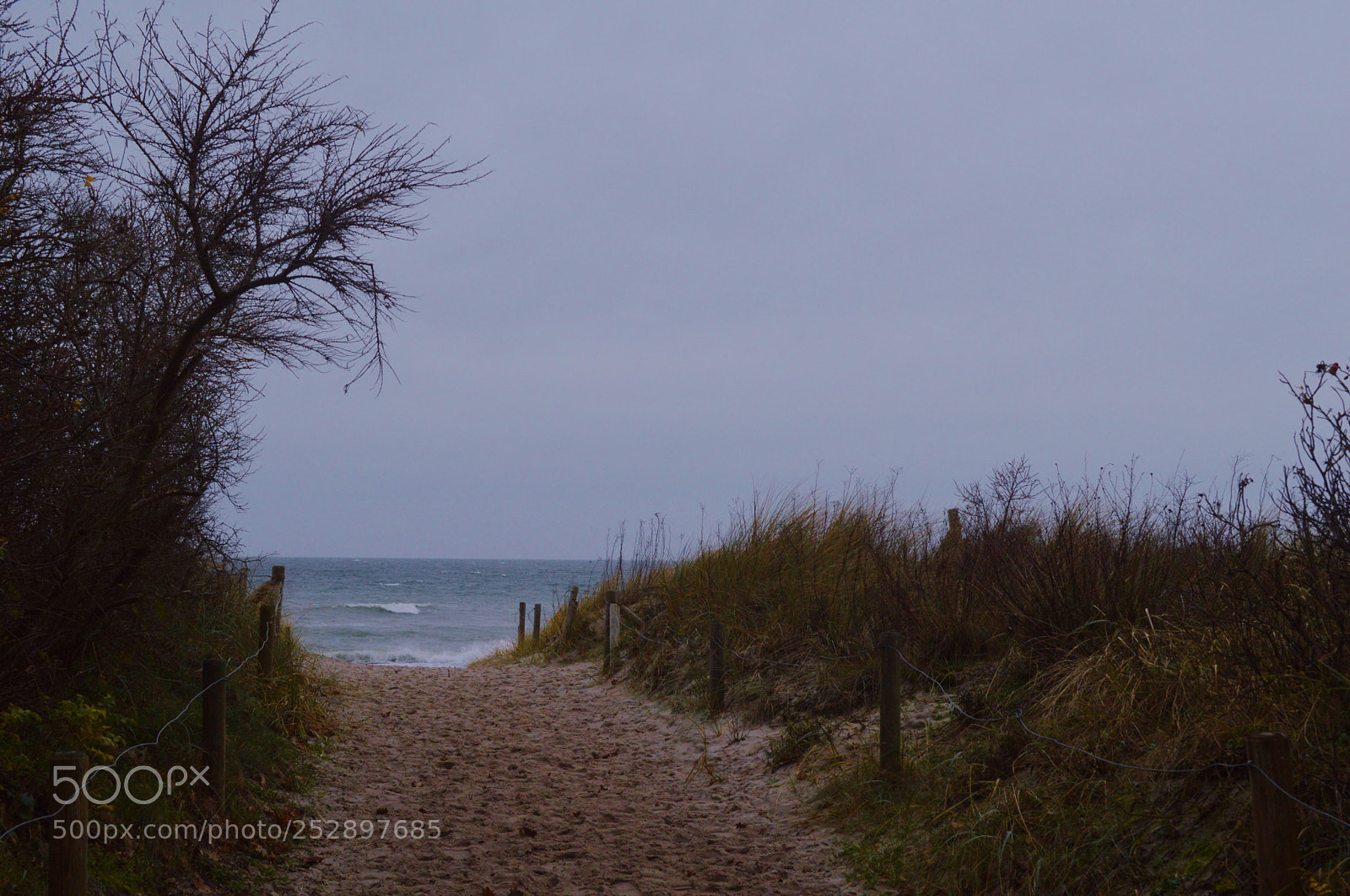 Nikon D3200 sample photo. Lead the way photography
