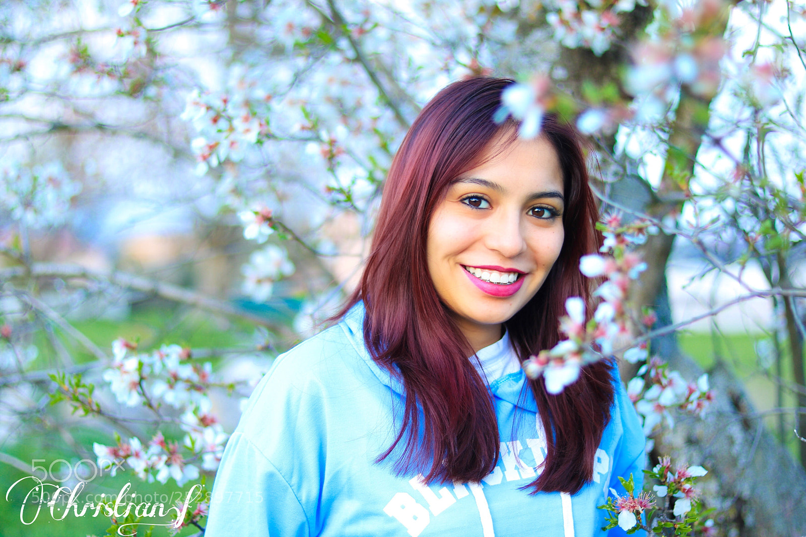 Canon EOS 750D (EOS Rebel T6i / EOS Kiss X8i) sample photo. Untitled photography
