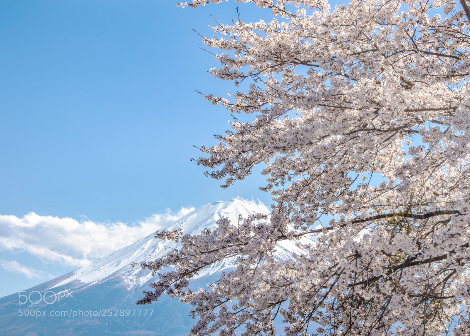 Canon EOS M5 sample photo. Japan photography