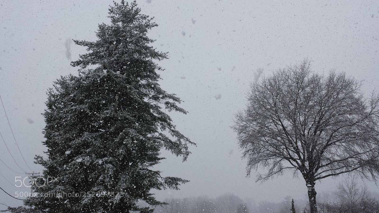 Samsung Galaxy S4 sample photo. Snow covered trees in photography