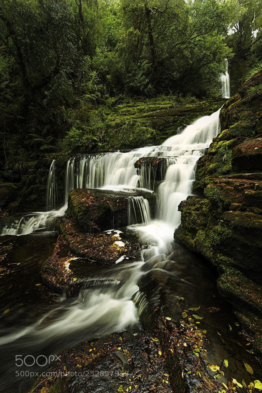 Nikon D850 sample photo. Mcleans falls in summer photography