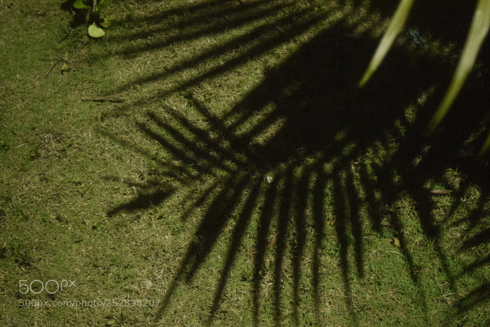 Nikon D3300 sample photo. Silhouette photography