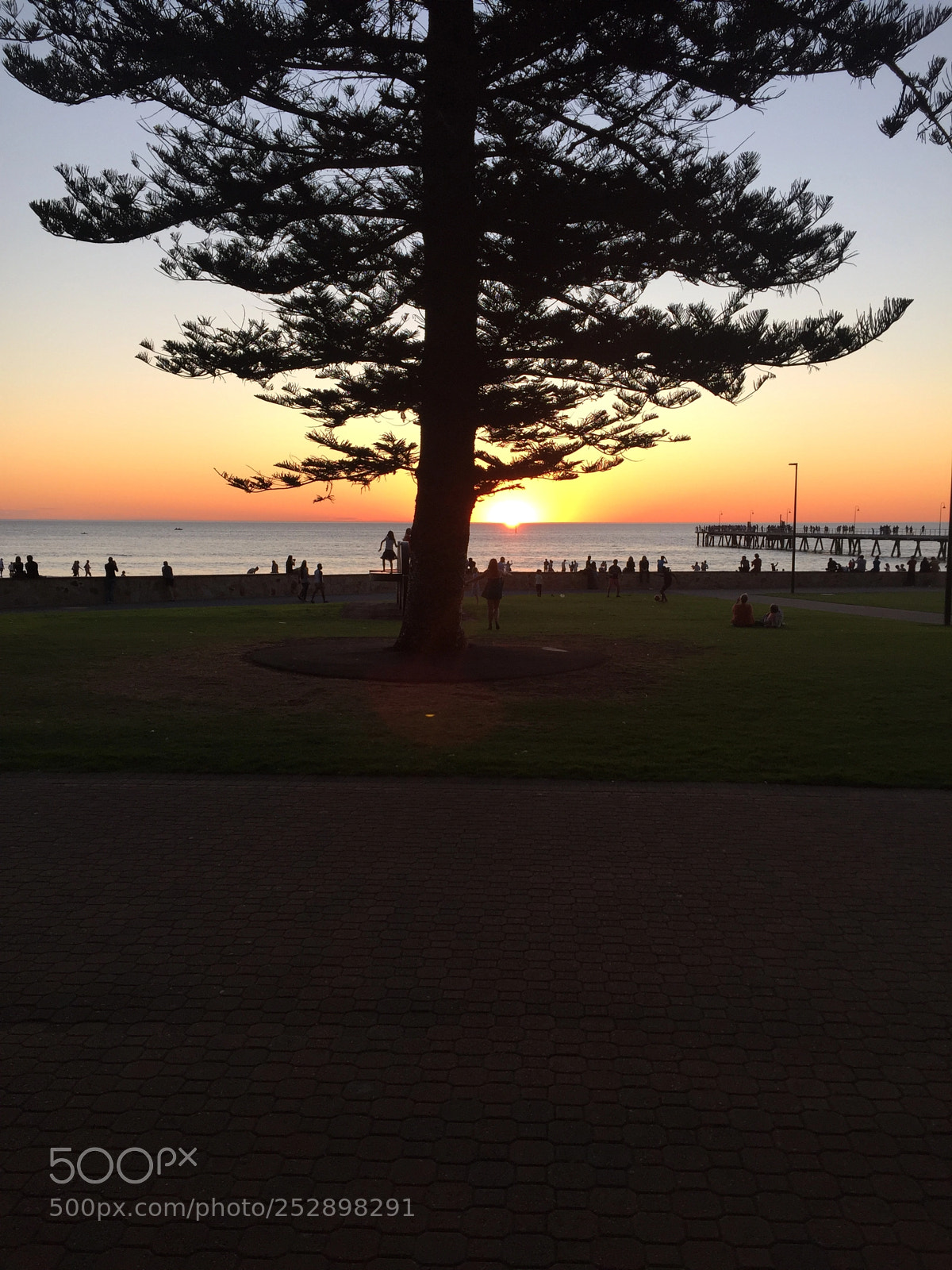 Apple iPhone 6 sample photo. Img photography