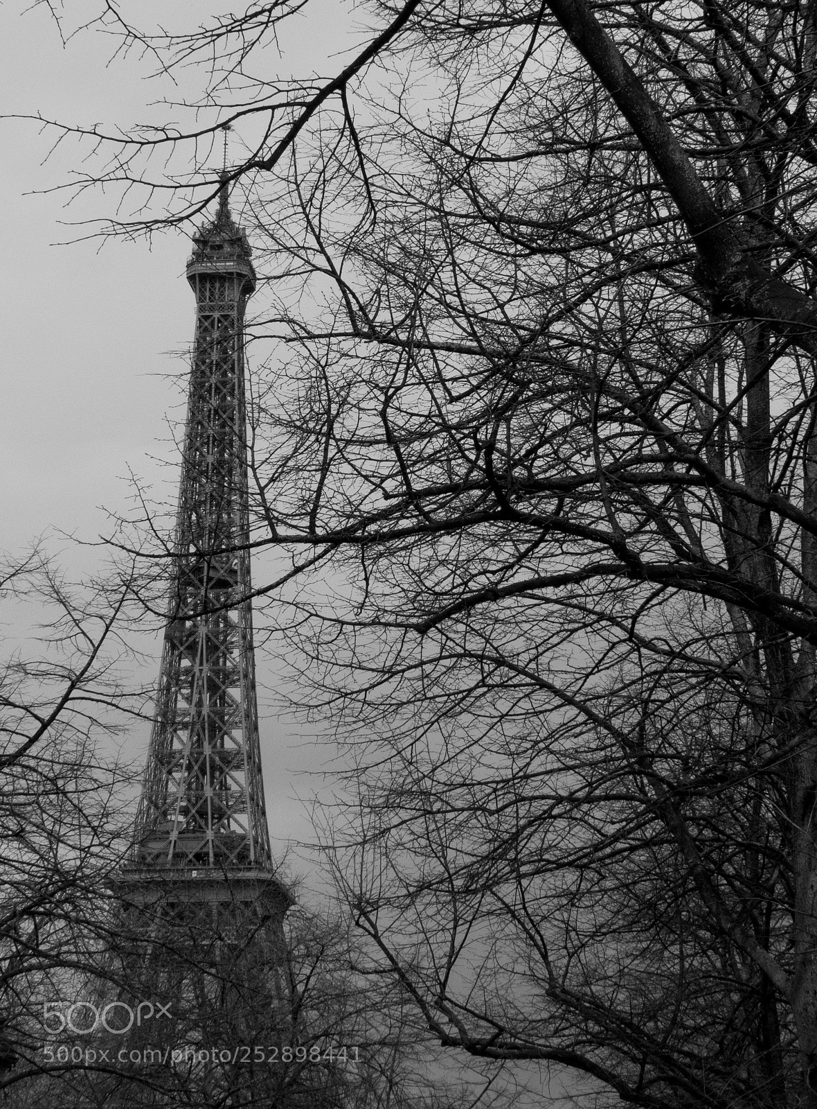 Panasonic Lumix DMC-FZ40 (Lumix DMC-FZ45) sample photo. Paris photography