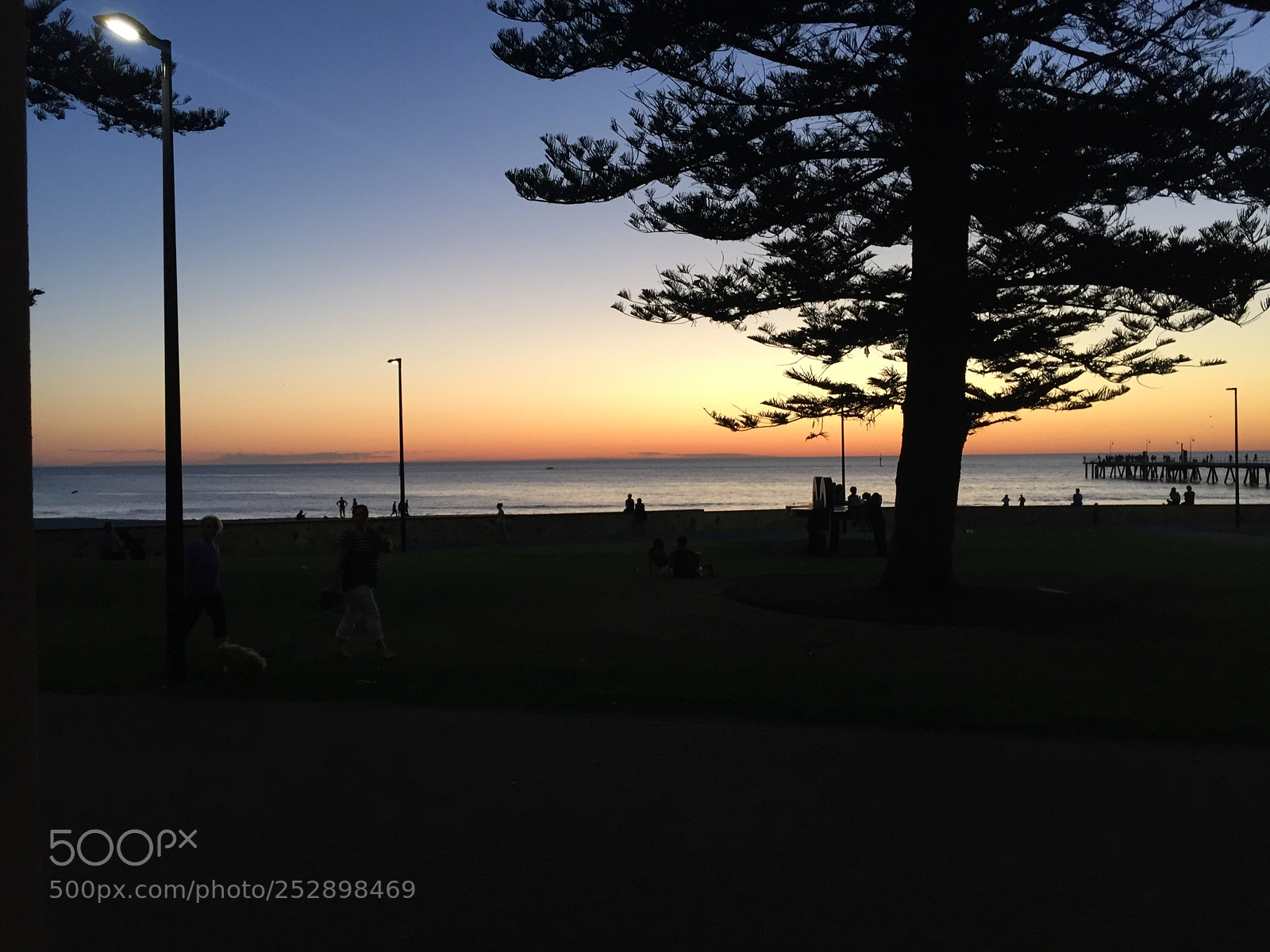 Apple iPhone 6 sample photo. Img photography