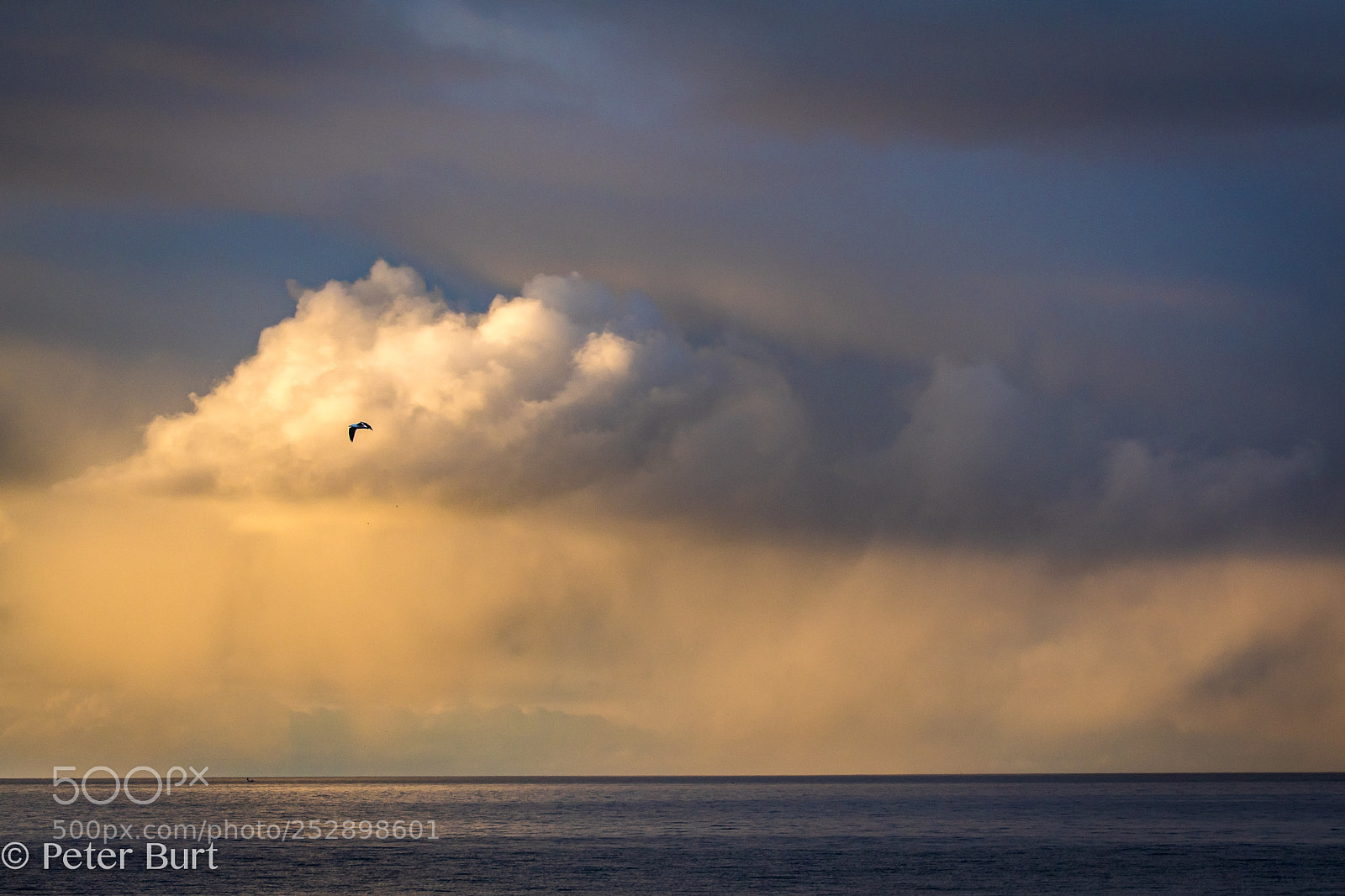 Canon EOS 5D Mark IV sample photo. Sunset photography