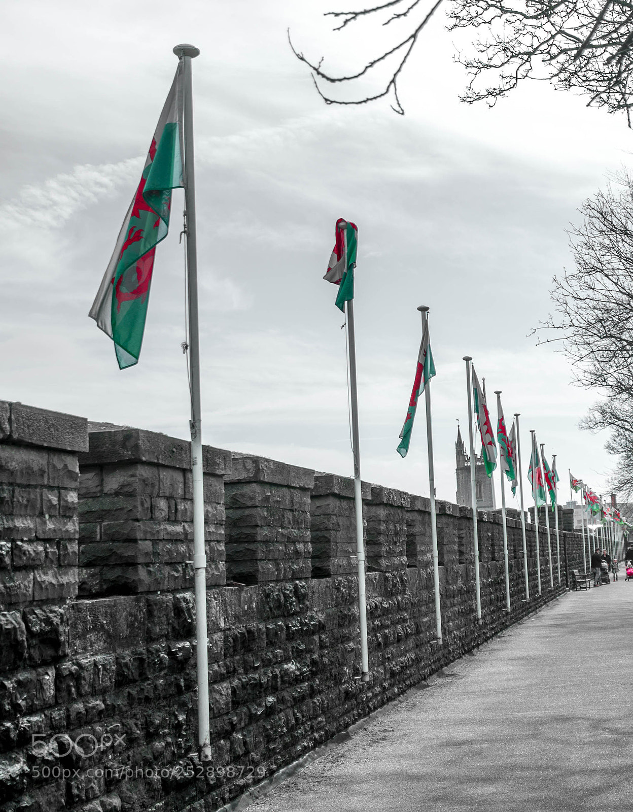 Sony a7S II sample photo. Cardiff castle photography