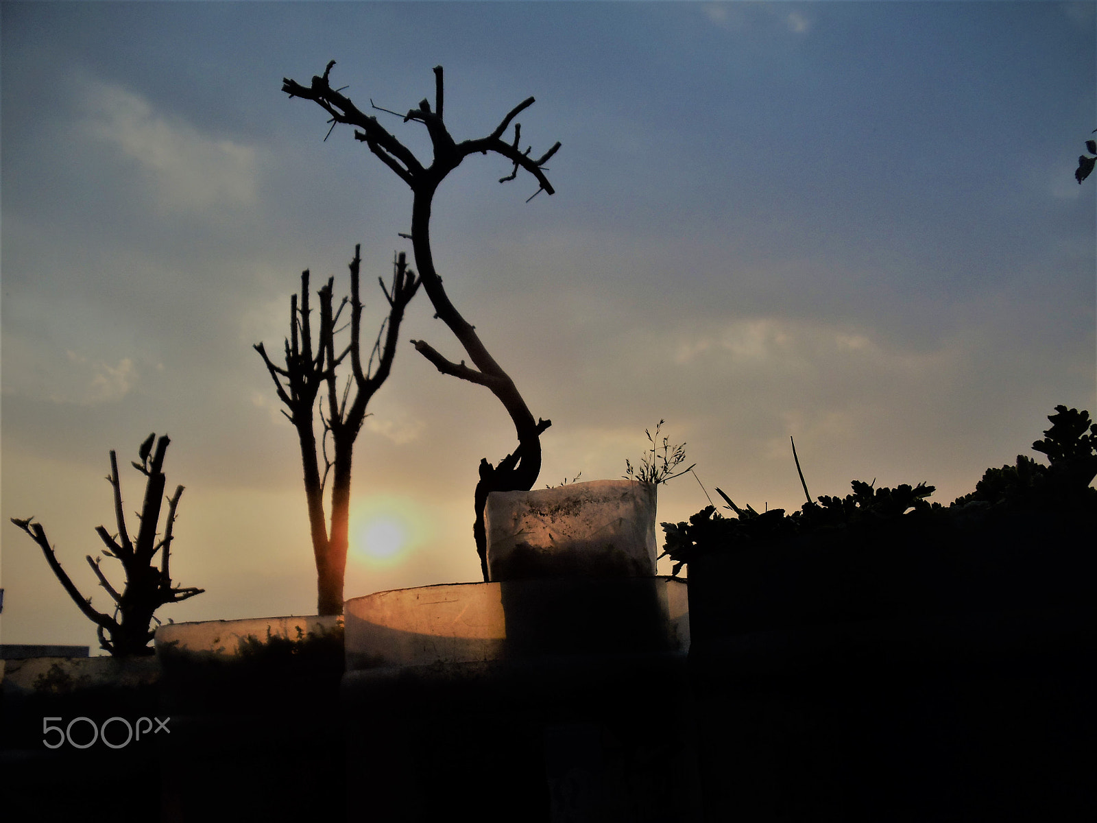 Sony Cyber-shot DSC-W370 sample photo. Sunset photography