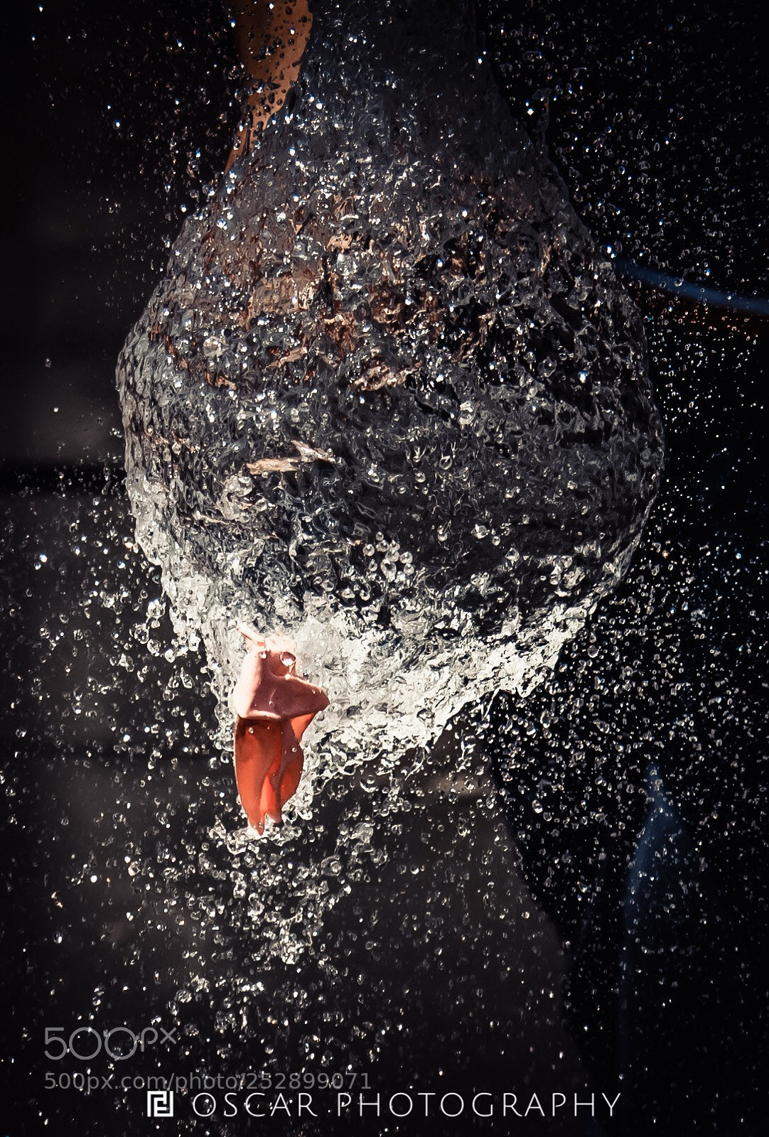 Nikon D810 sample photo. Untitled photography
