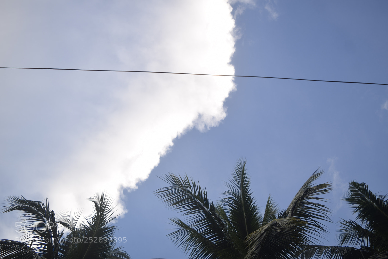Nikon D3300 sample photo. White-blue photography