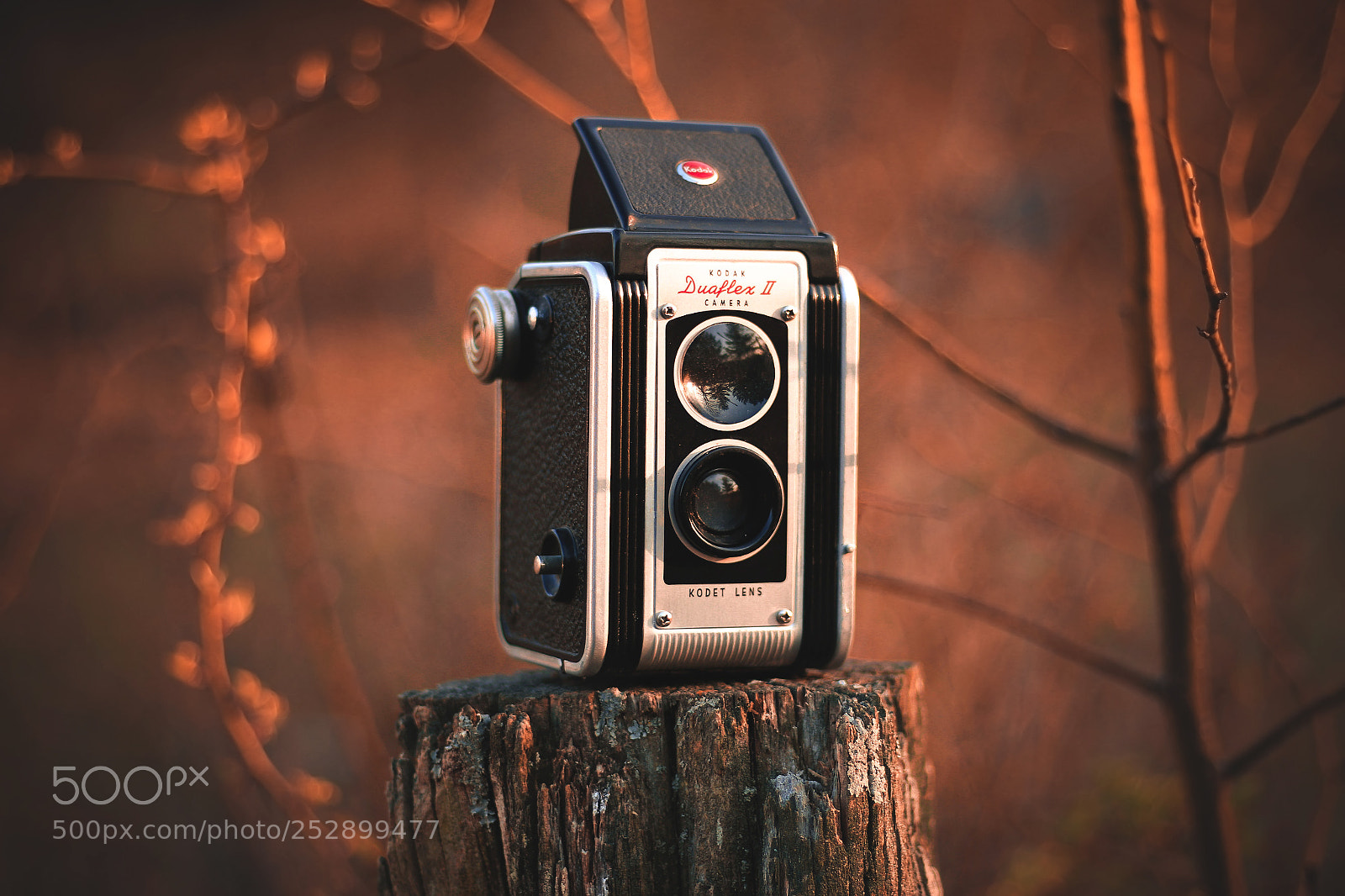 Canon EOS 70D sample photo. Oldie but a goldie.... photography