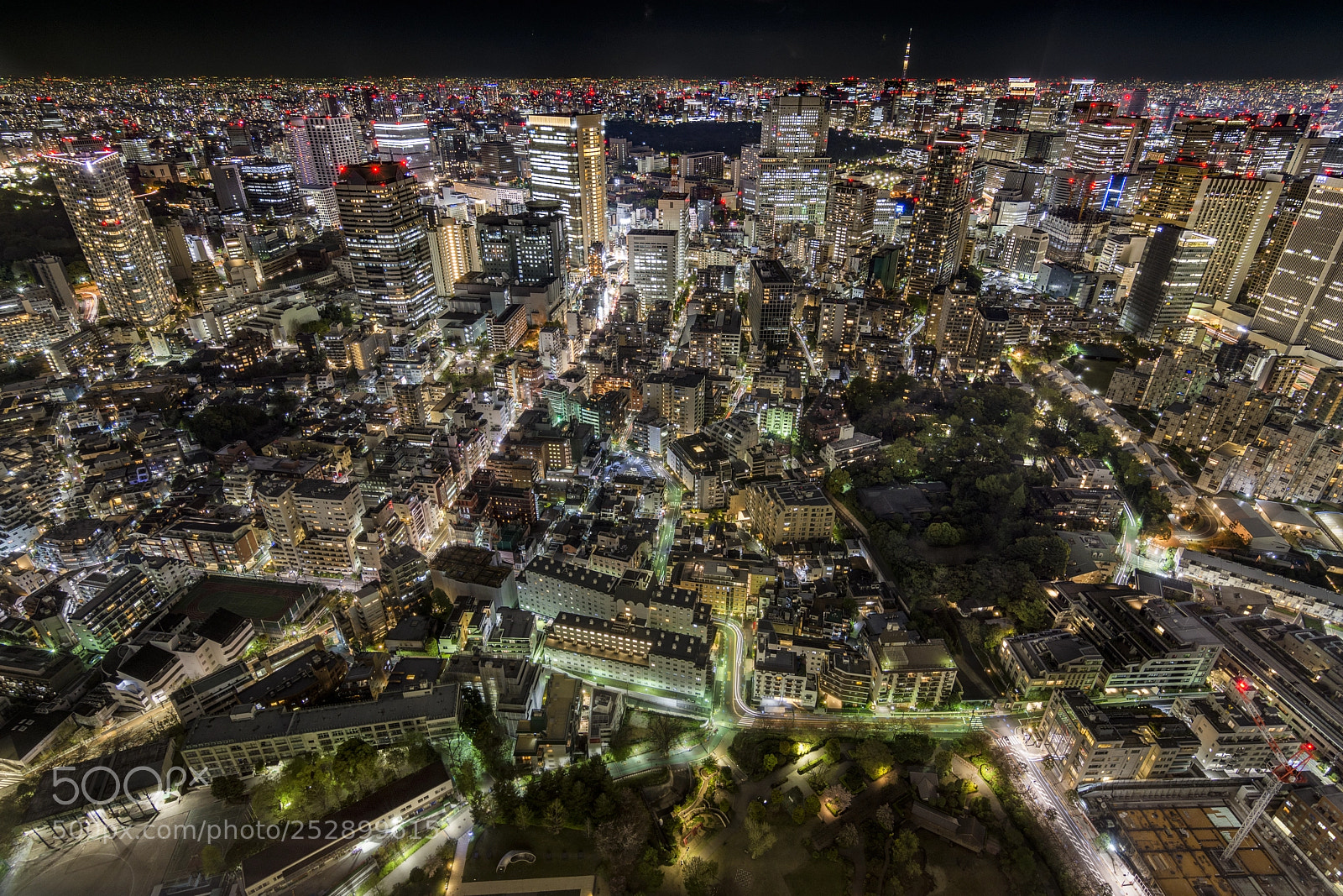 Nikon D7200 sample photo. Tokyo from above photography