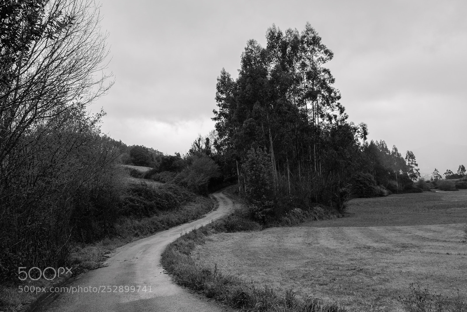 Panasonic Lumix DMC-LX100 sample photo. Asturias landscape photography