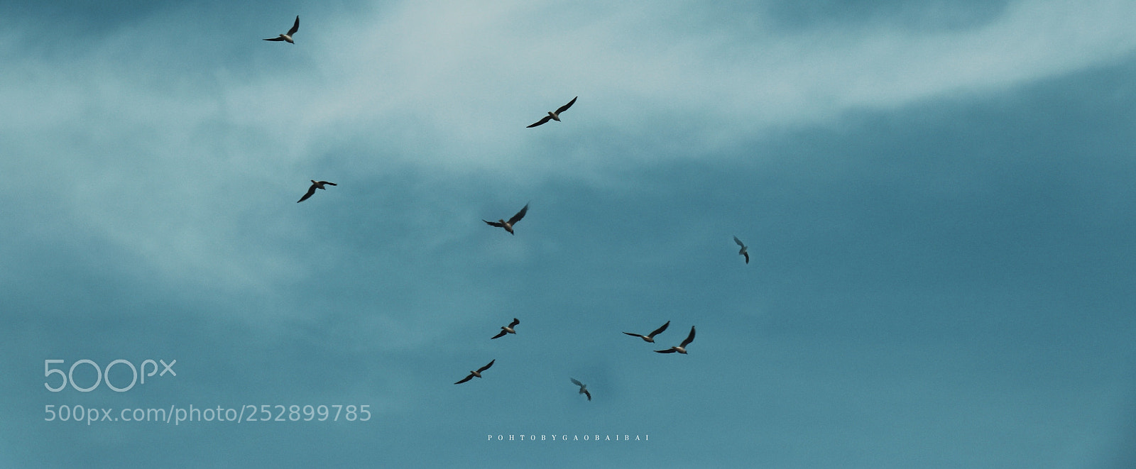 Canon EOS 80D sample photo. Untitled photography
