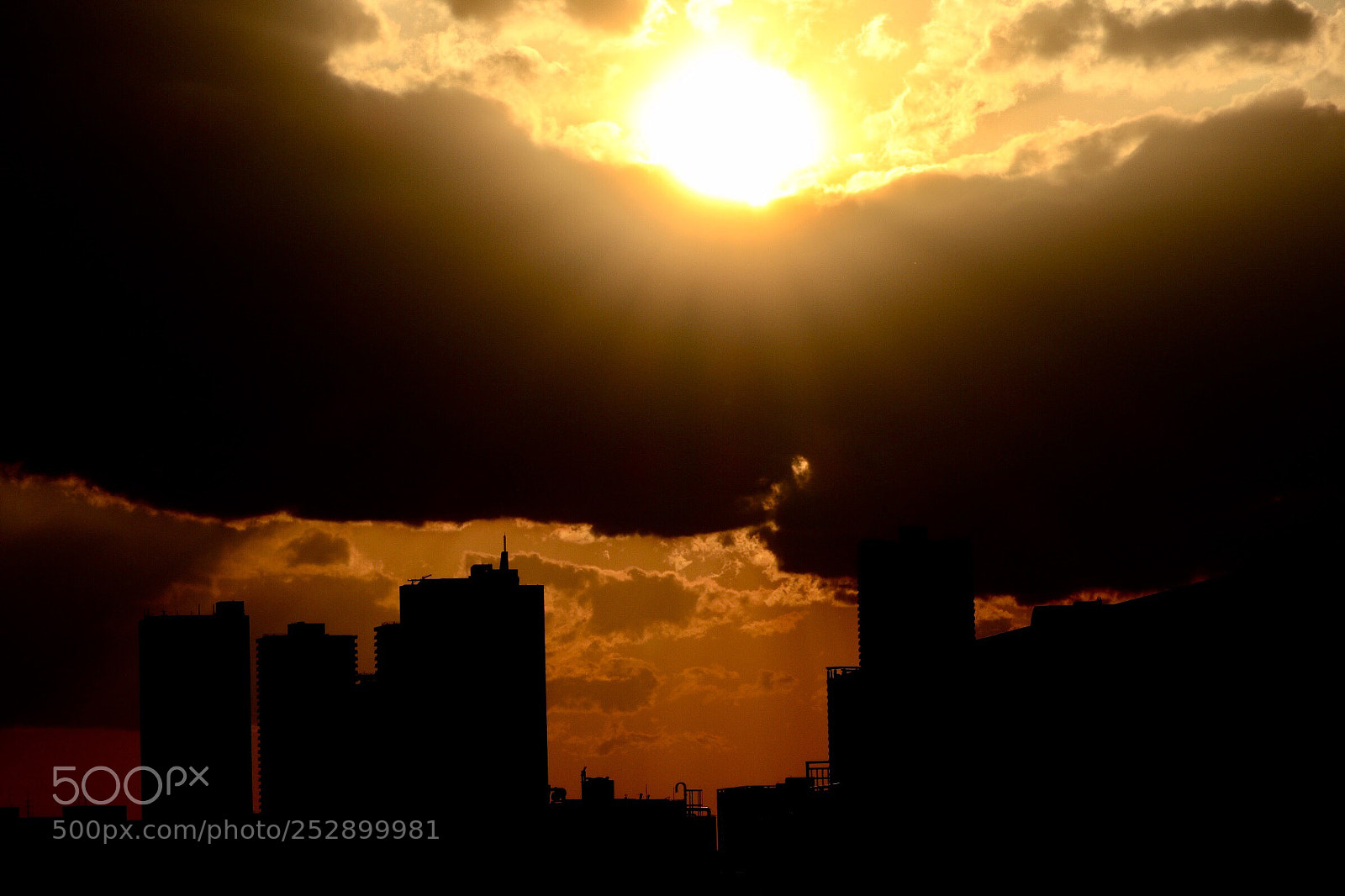 Canon EOS M5 sample photo. Evening sun photography