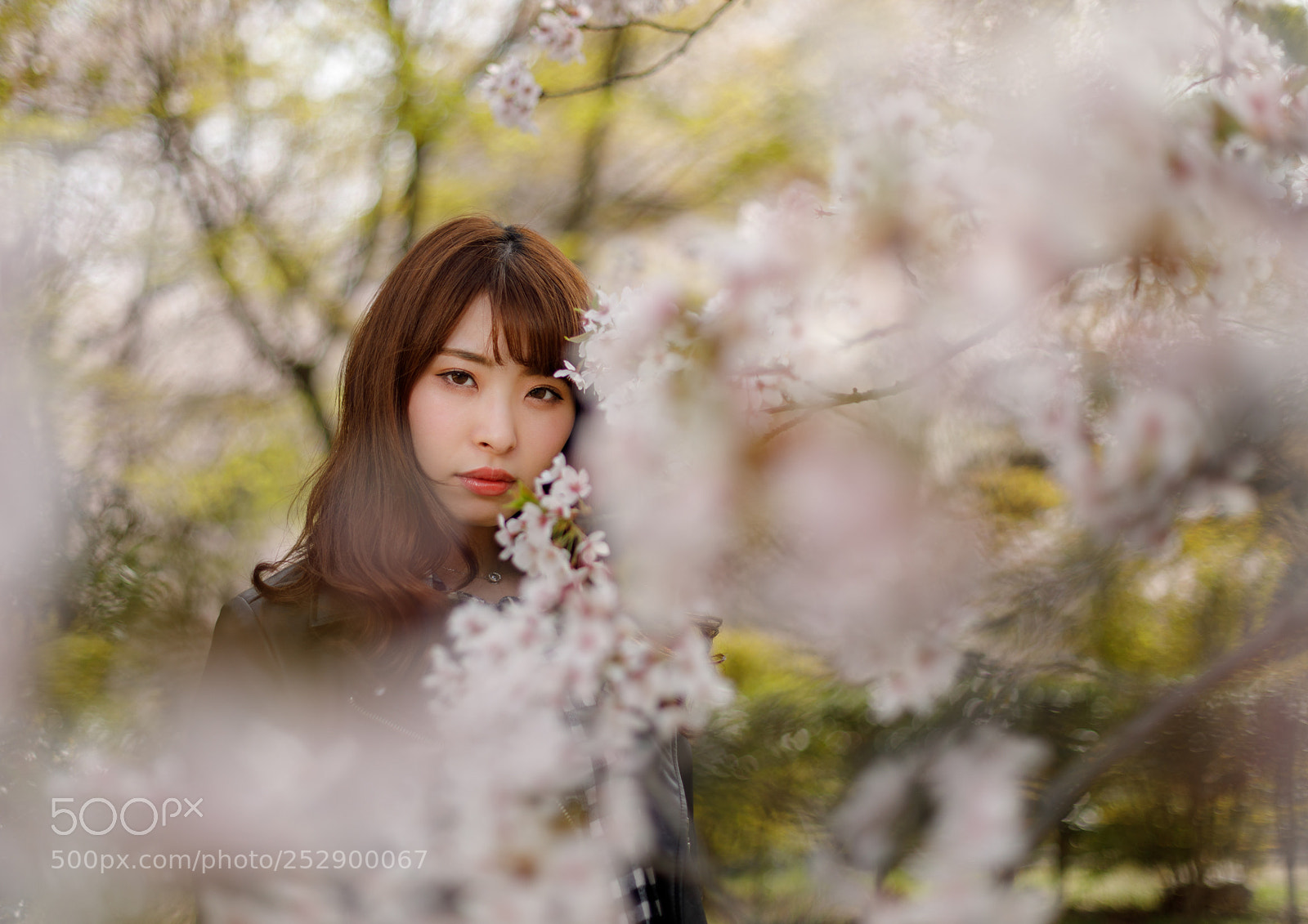 Canon EOS 5D Mark IV sample photo. Das model photography