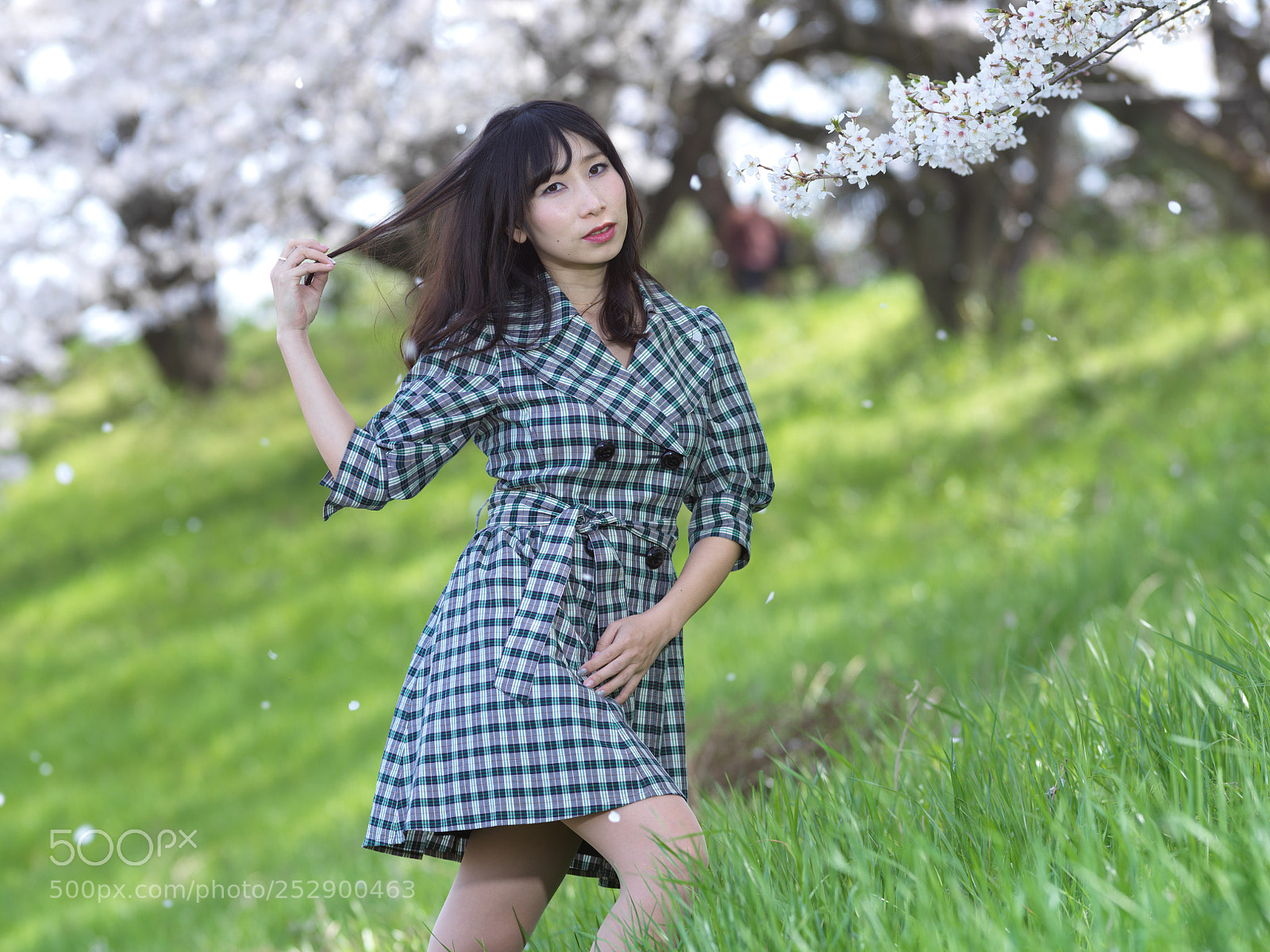 Hasselblad X1D-50c sample photo. Flower blossoms photography