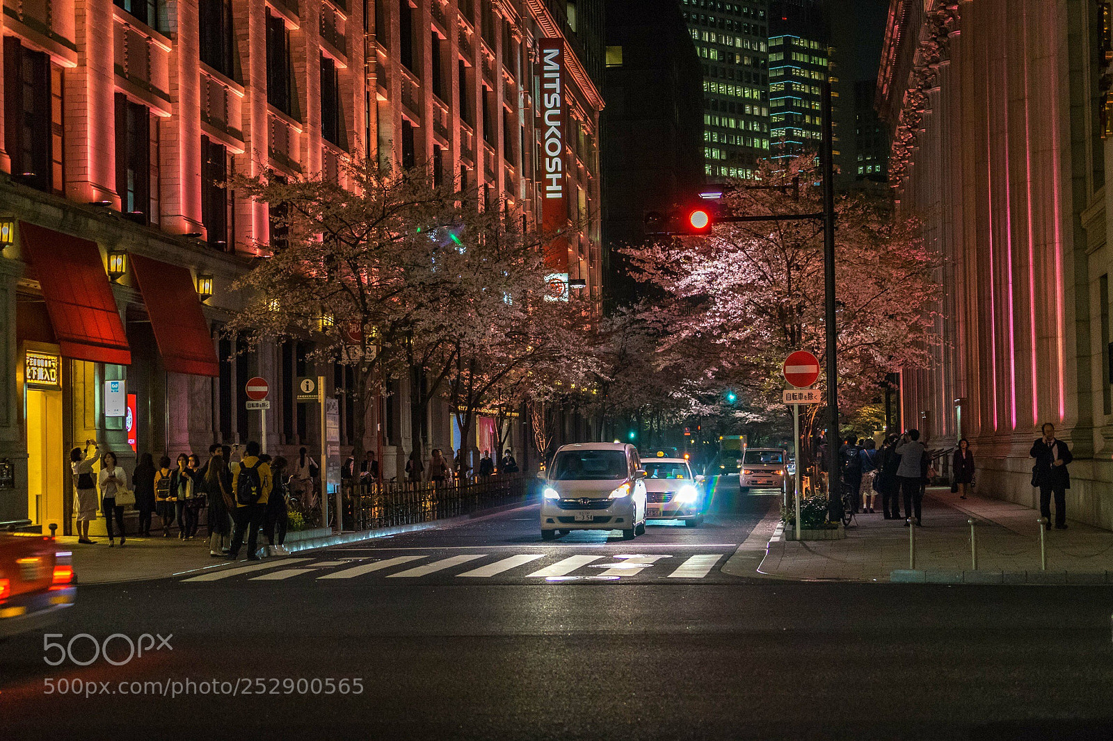 Sony a7 II sample photo. Untitled photography