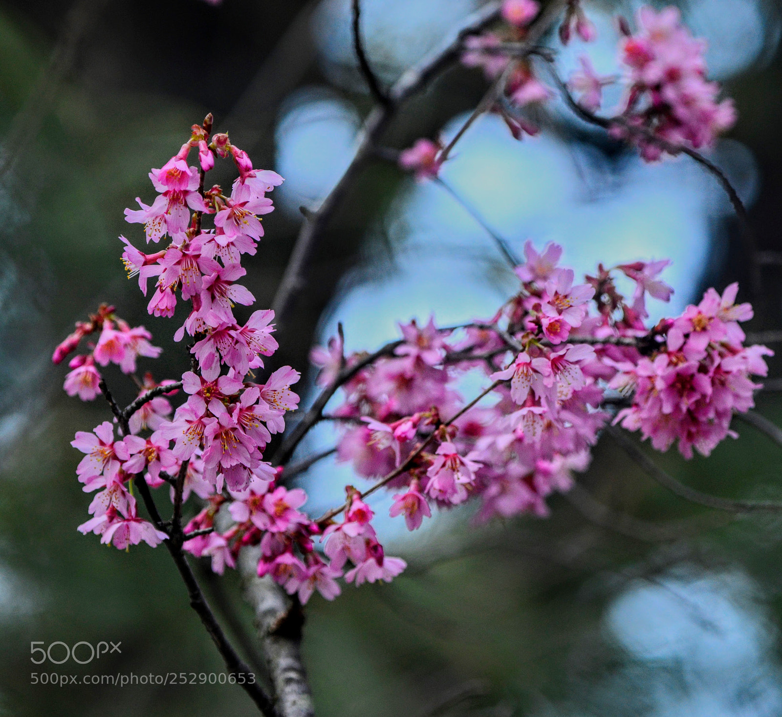 Nikon D800 sample photo. Dream lag effect photography