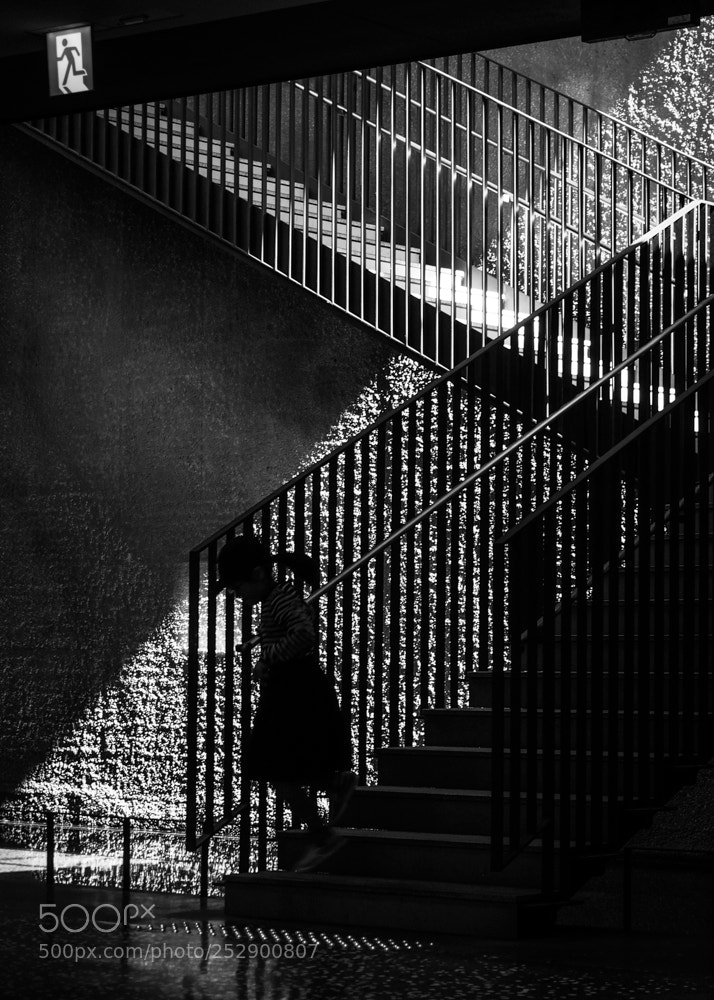 Olympus PEN E-P5 sample photo. Staircase play　 photography