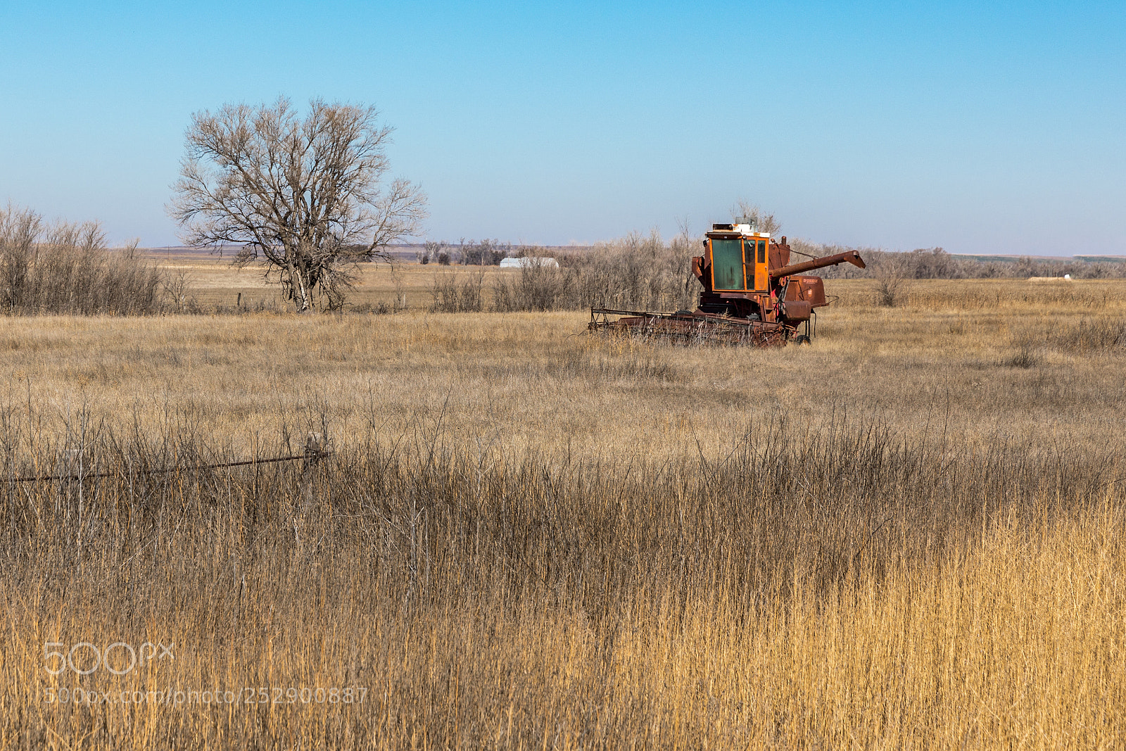 Canon EOS 5D Mark IV sample photo. Mccormick photography