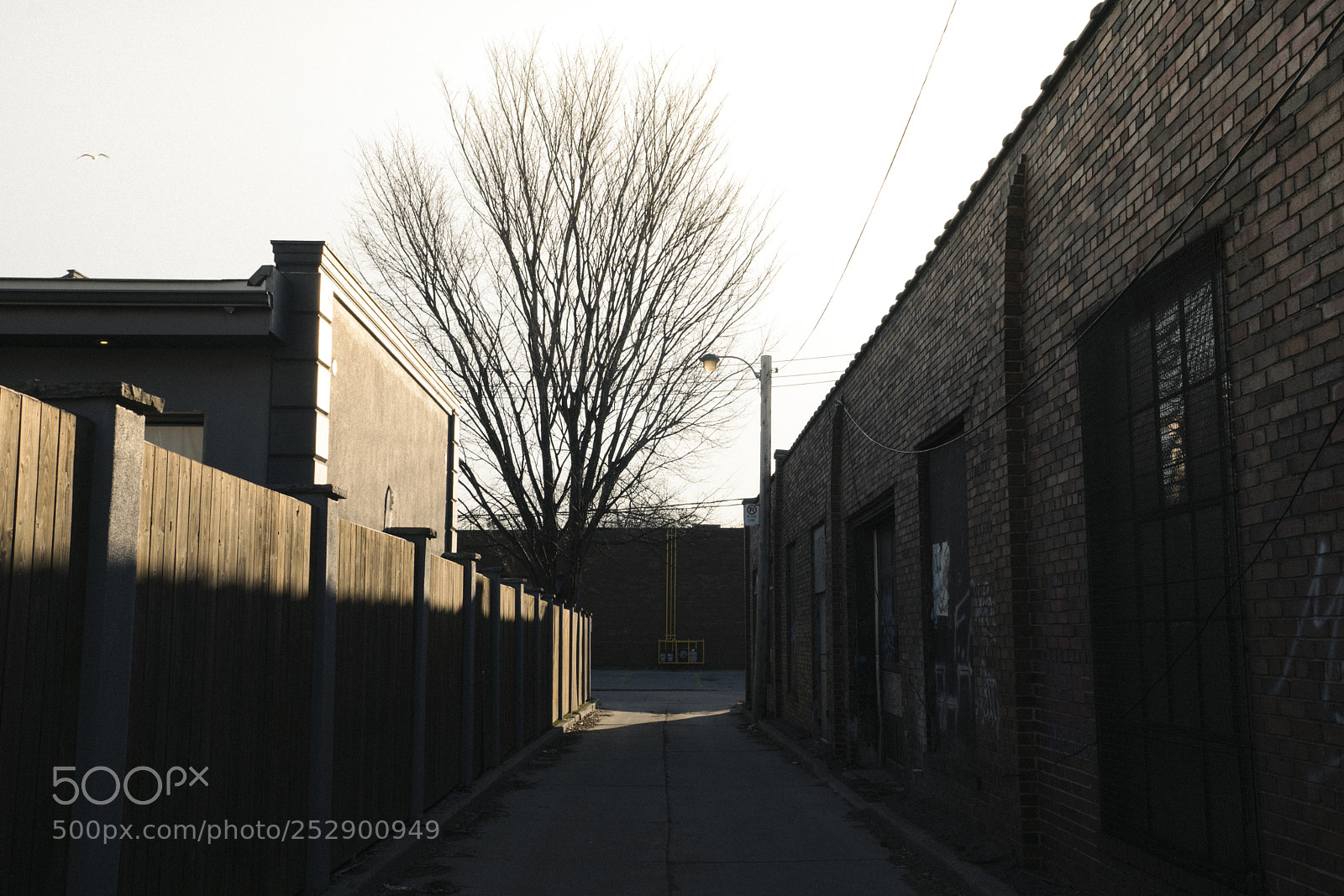 Sony a6500 sample photo. Backalley near logan lakeshore photography