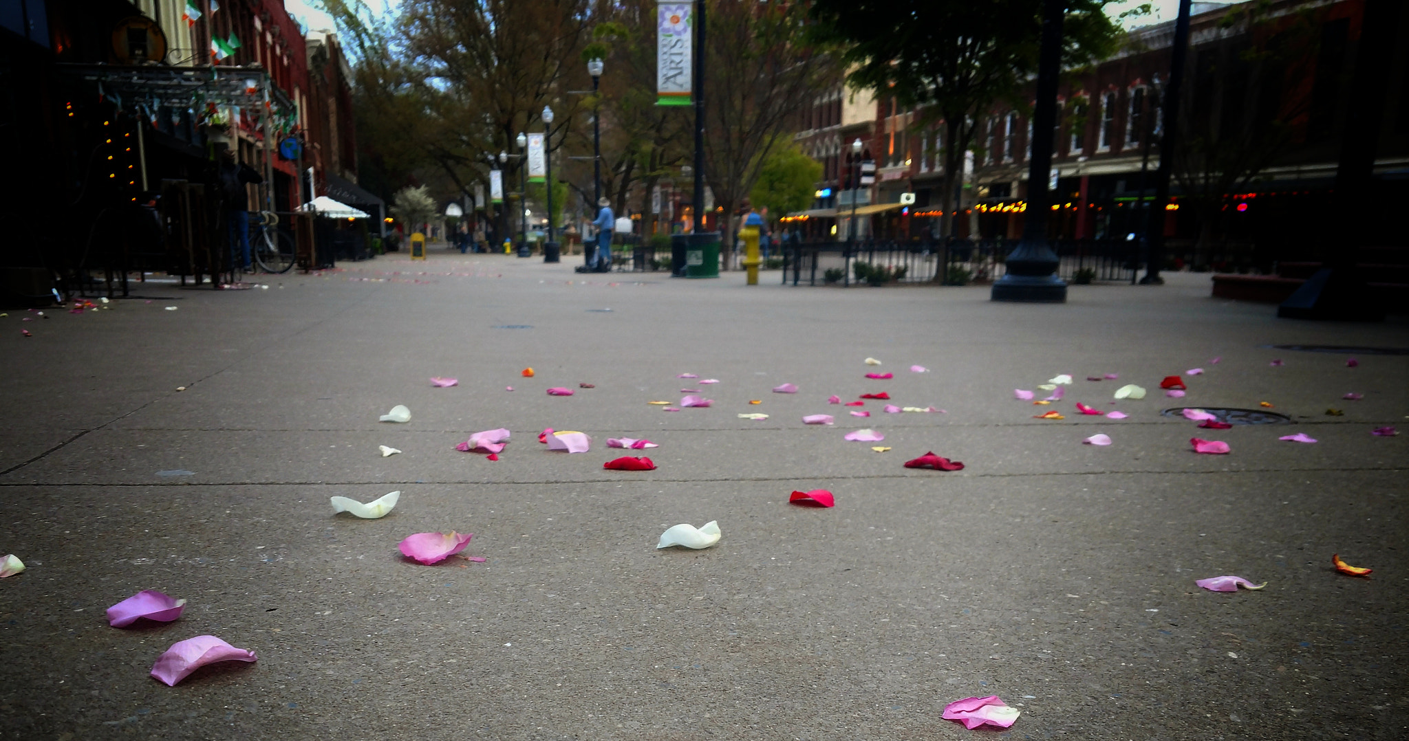 Motorola XT1650 sample photo. Fallen pedals photography
